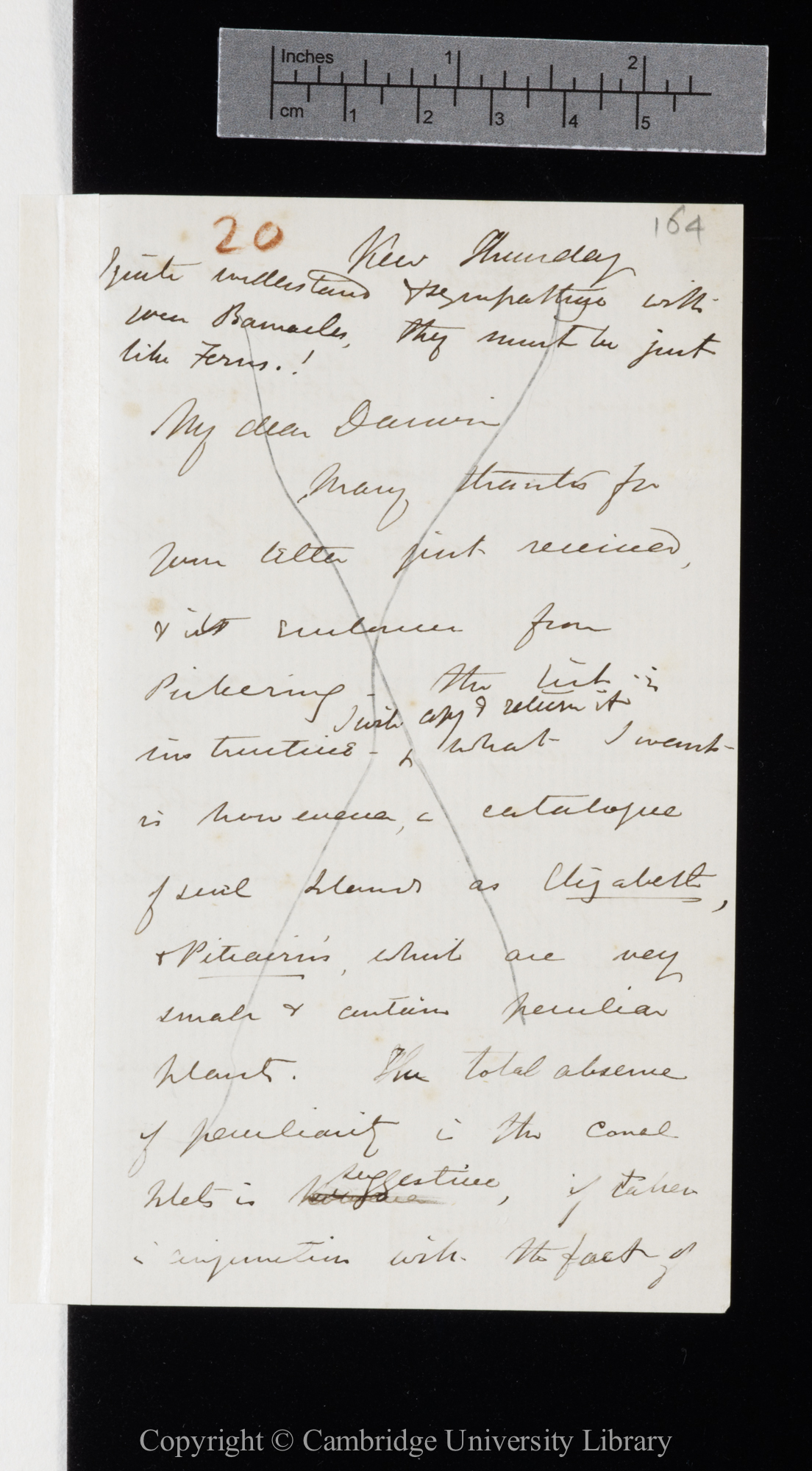 Letter from J. D. Hooker to C. R. Darwin   [c. April 1851]