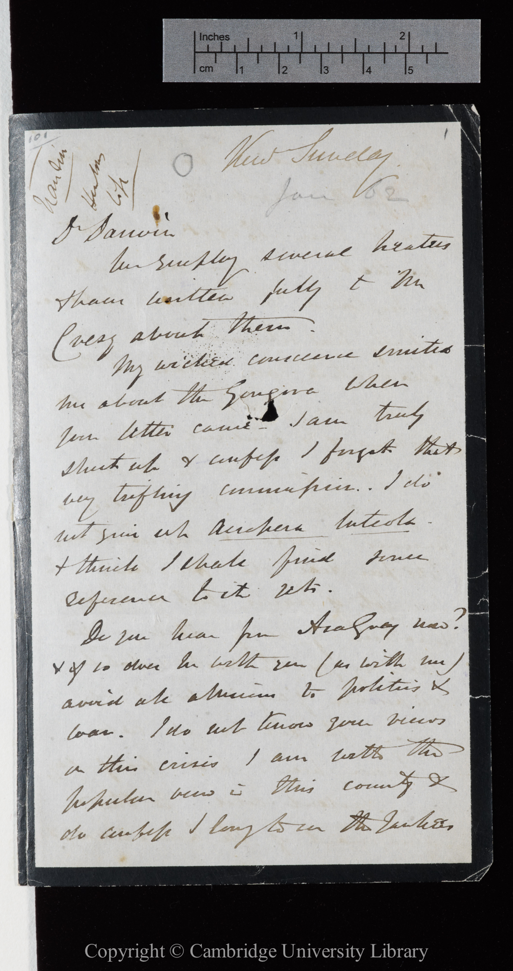 Letter from J. D. Hooker to C. R. Darwin   [29 December 1861]