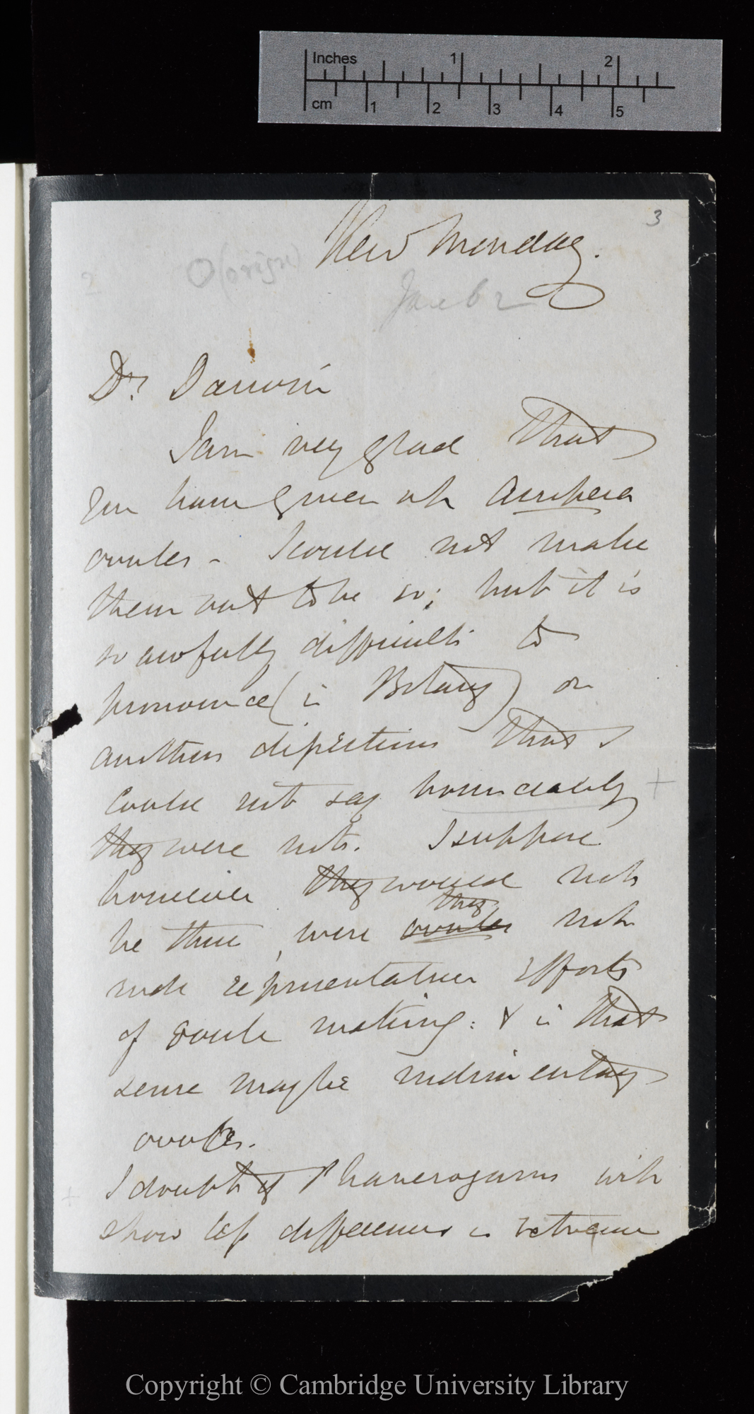Letter from J. D. Hooker to C. R. Darwin   [30 December 1861 or 6 January 1862]