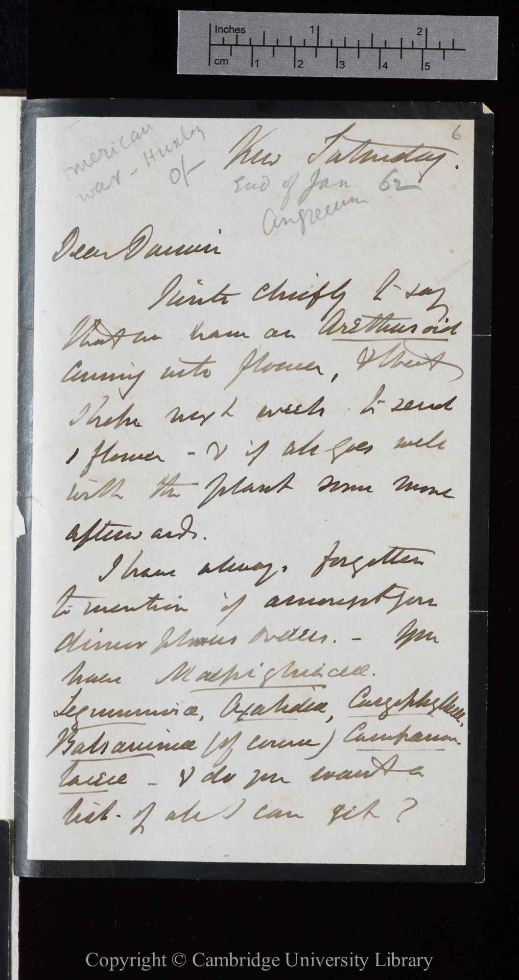 Letter from J. D. Hooker to C. R. Darwin   [25 January 1862]