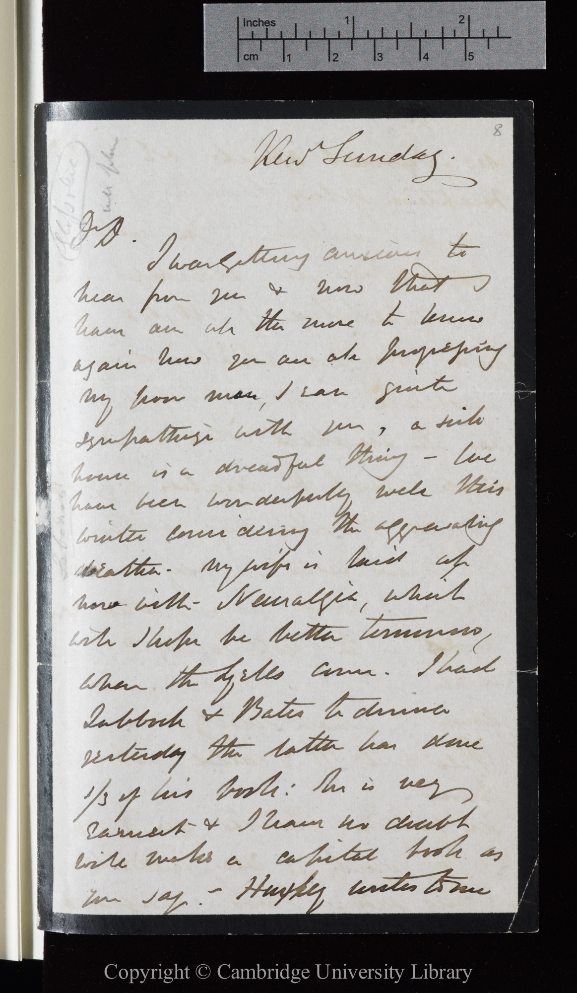 Letter from J. D. Hooker to C. R. Darwin   [19 January 1862]