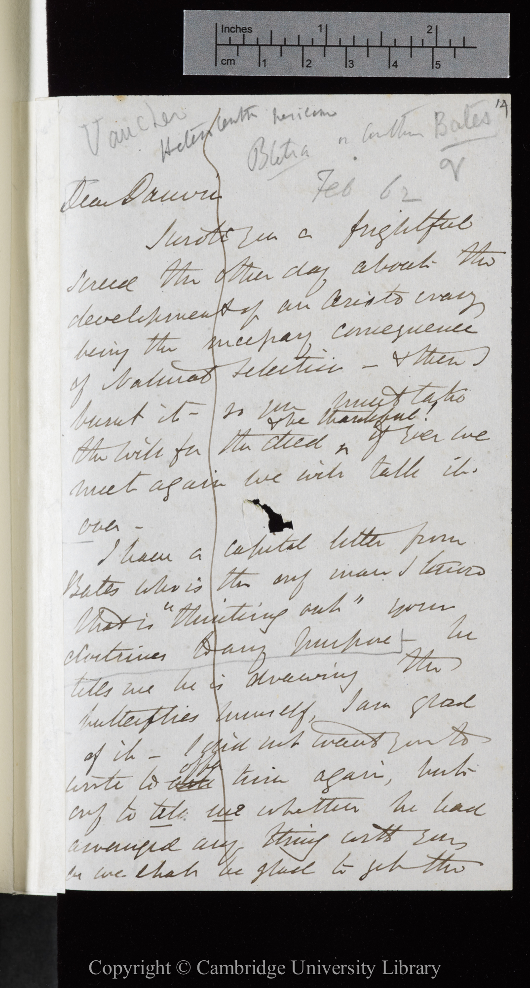 Letter from J. D. Hooker to C. R. Darwin   [31 January - 8 February 1862]