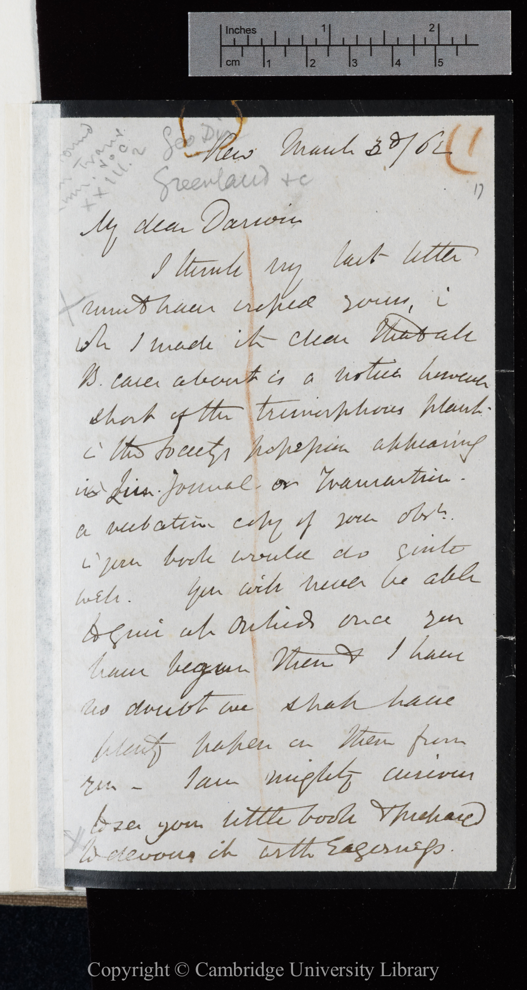 Letter from J. D. Hooker to C. R. Darwin   3 March 1862