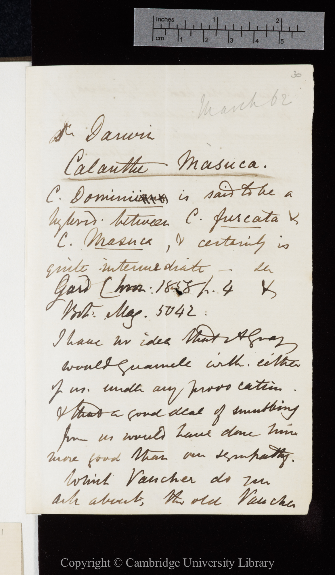 Letter from J. D. Hooker to C. R. Darwin   [23-5 March 1862]