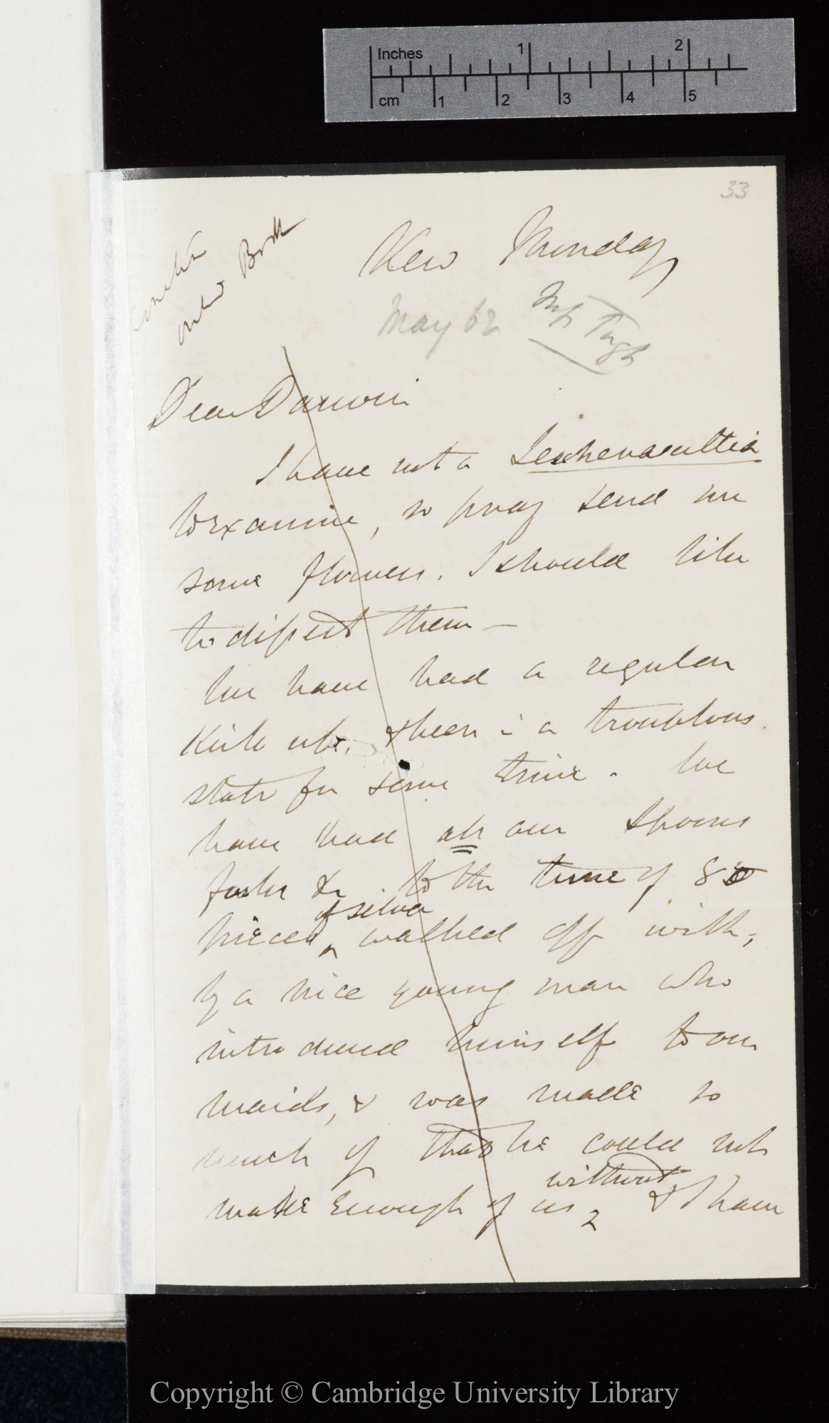 Letter from J. D. Hooker to C. R. Darwin   [5 May 1862]