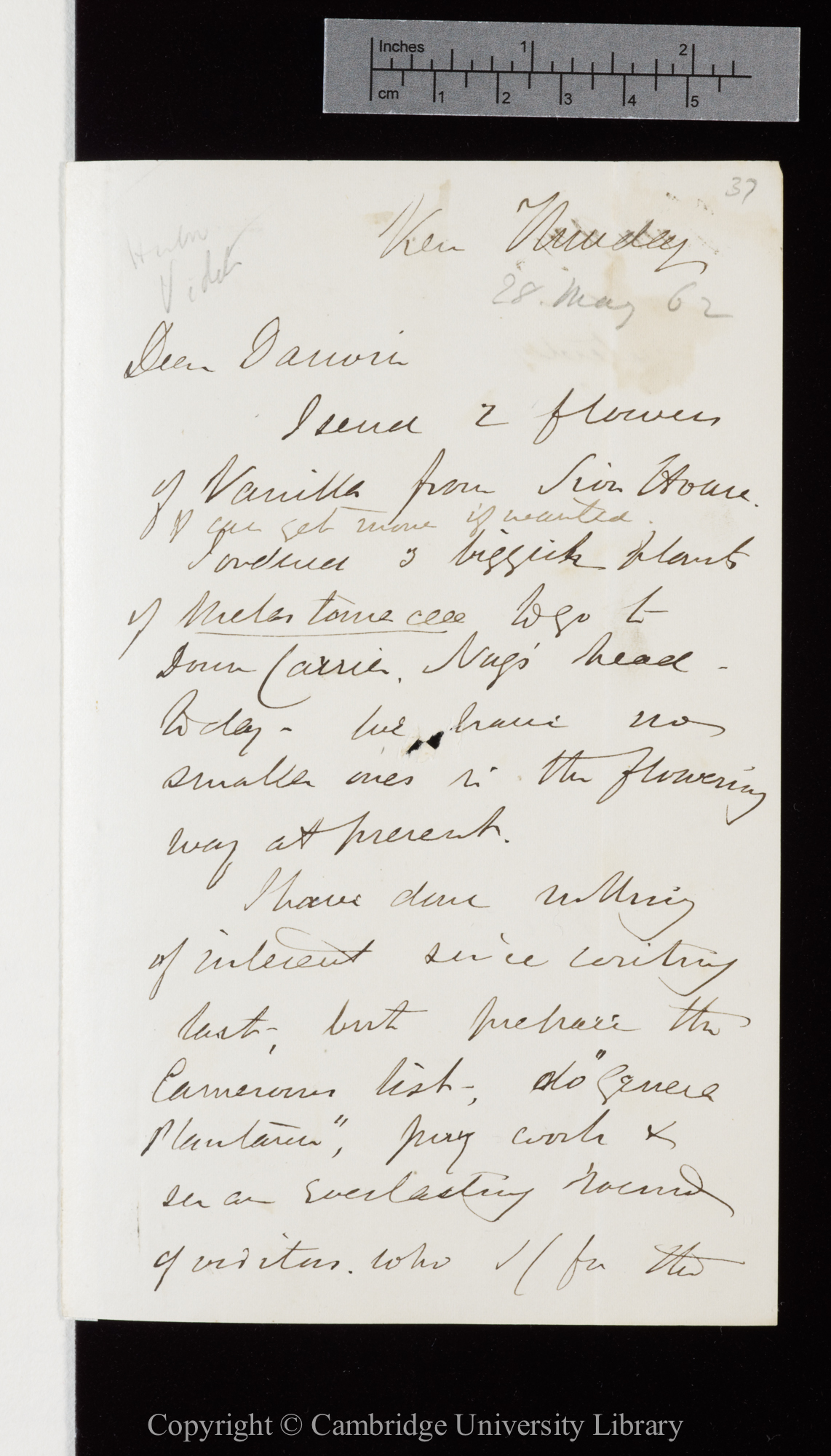Letter from J. D. Hooker to C. R. Darwin   [29 May 1862]