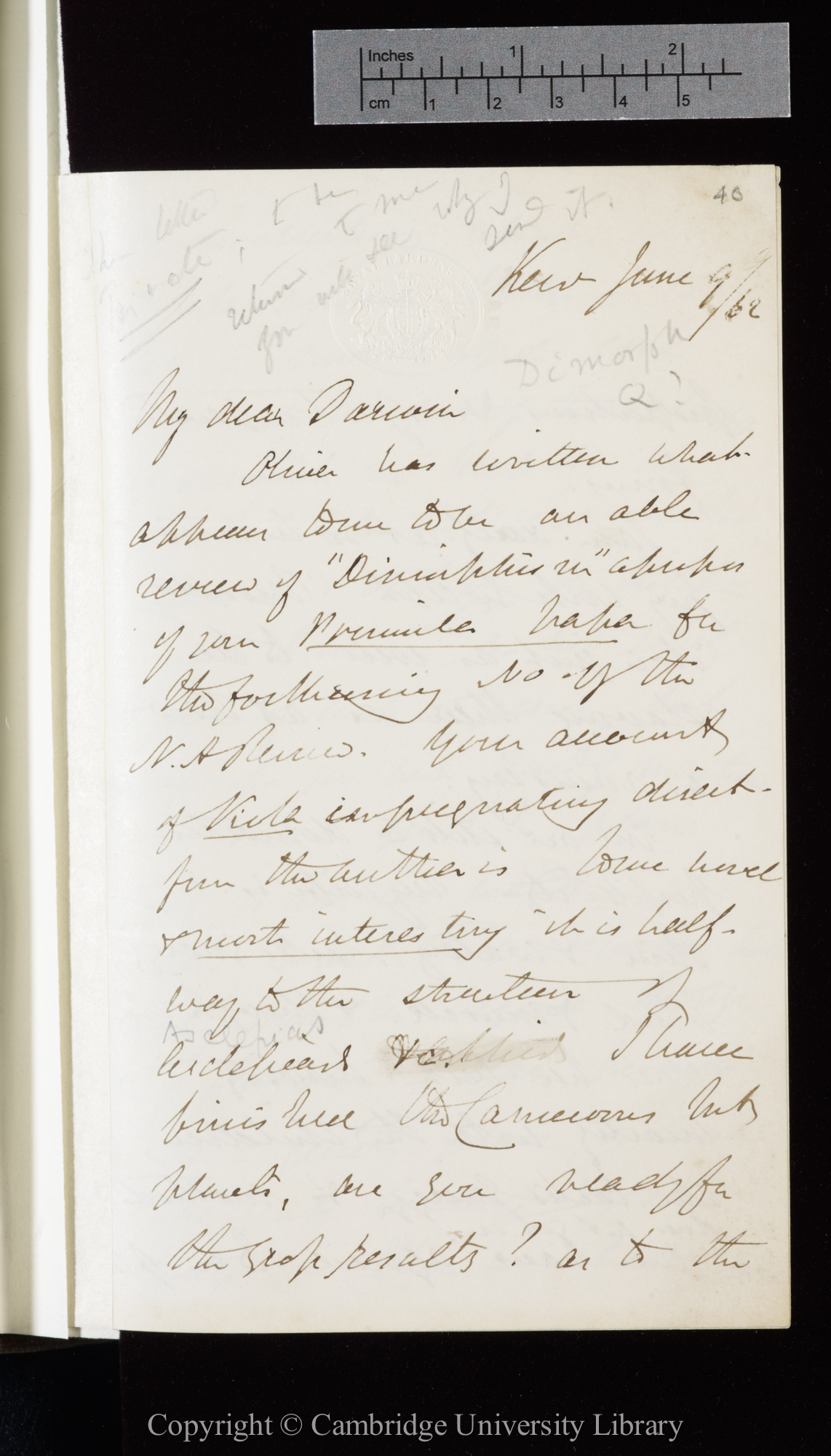 Letter from J. D. Hooker to C. R. Darwin   9 June 1862