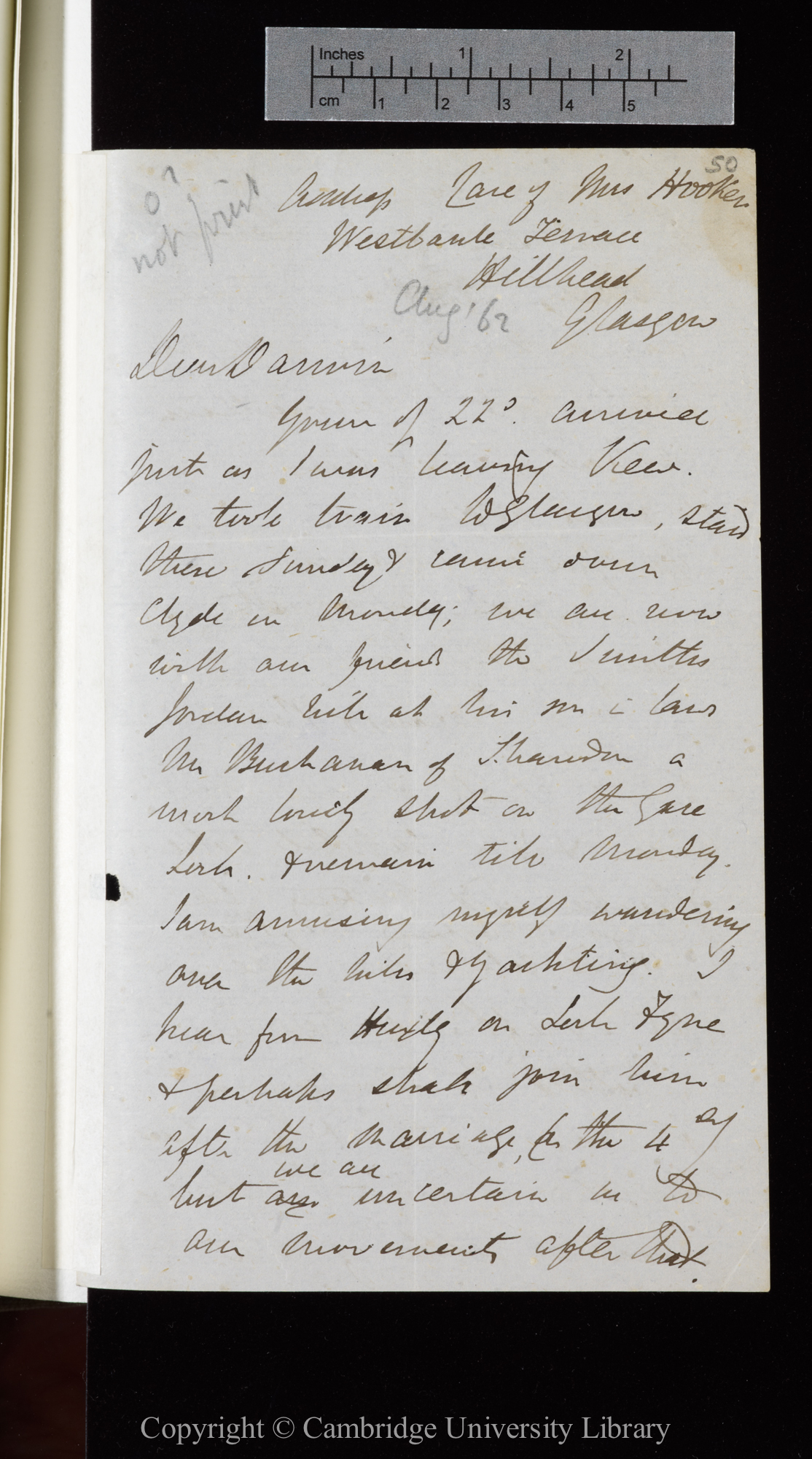 Letter from J. D. Hooker to C. R. Darwin   [26-31 August 1862]