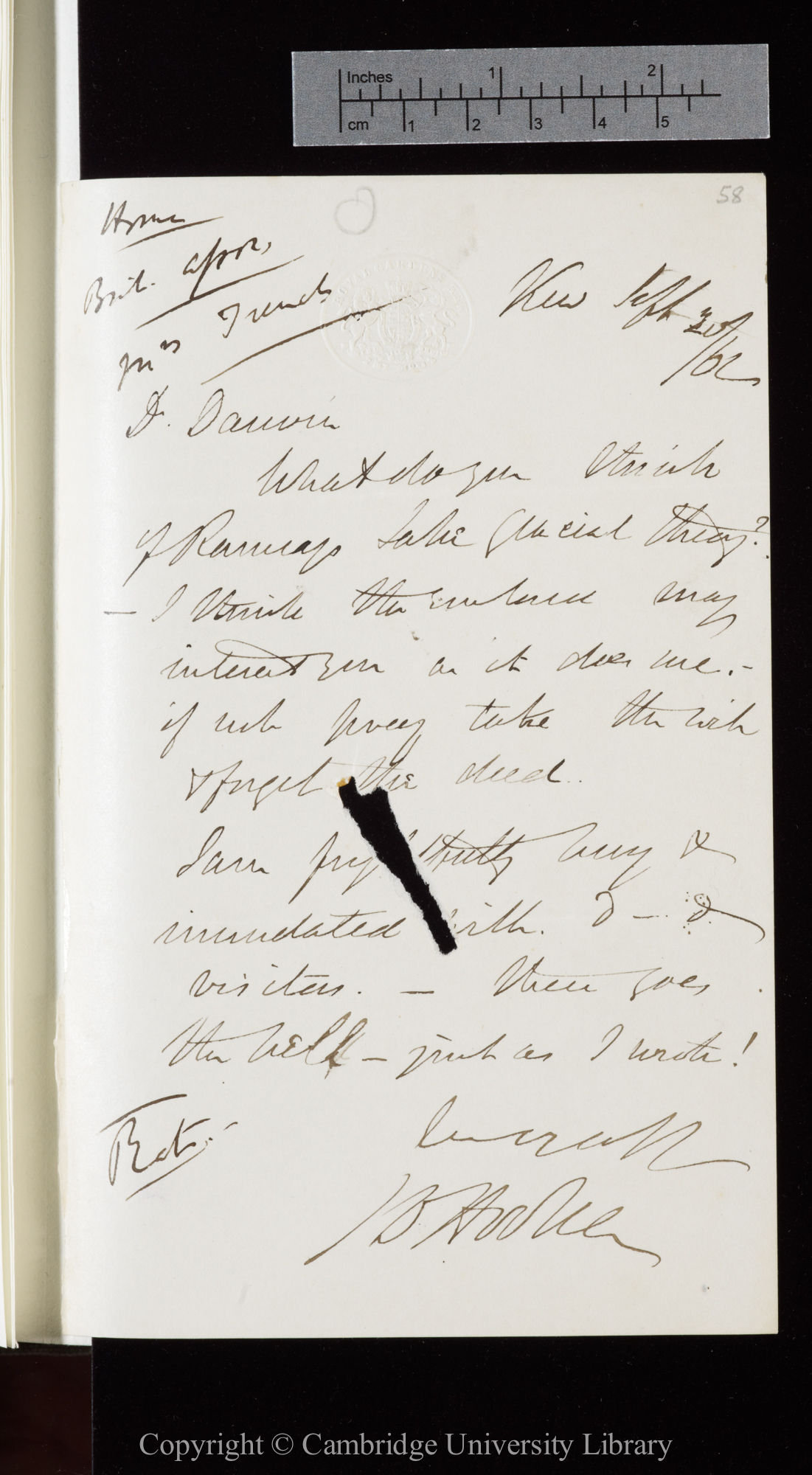 Letter from J. D. Hooker to C. R. Darwin   20 September 1862