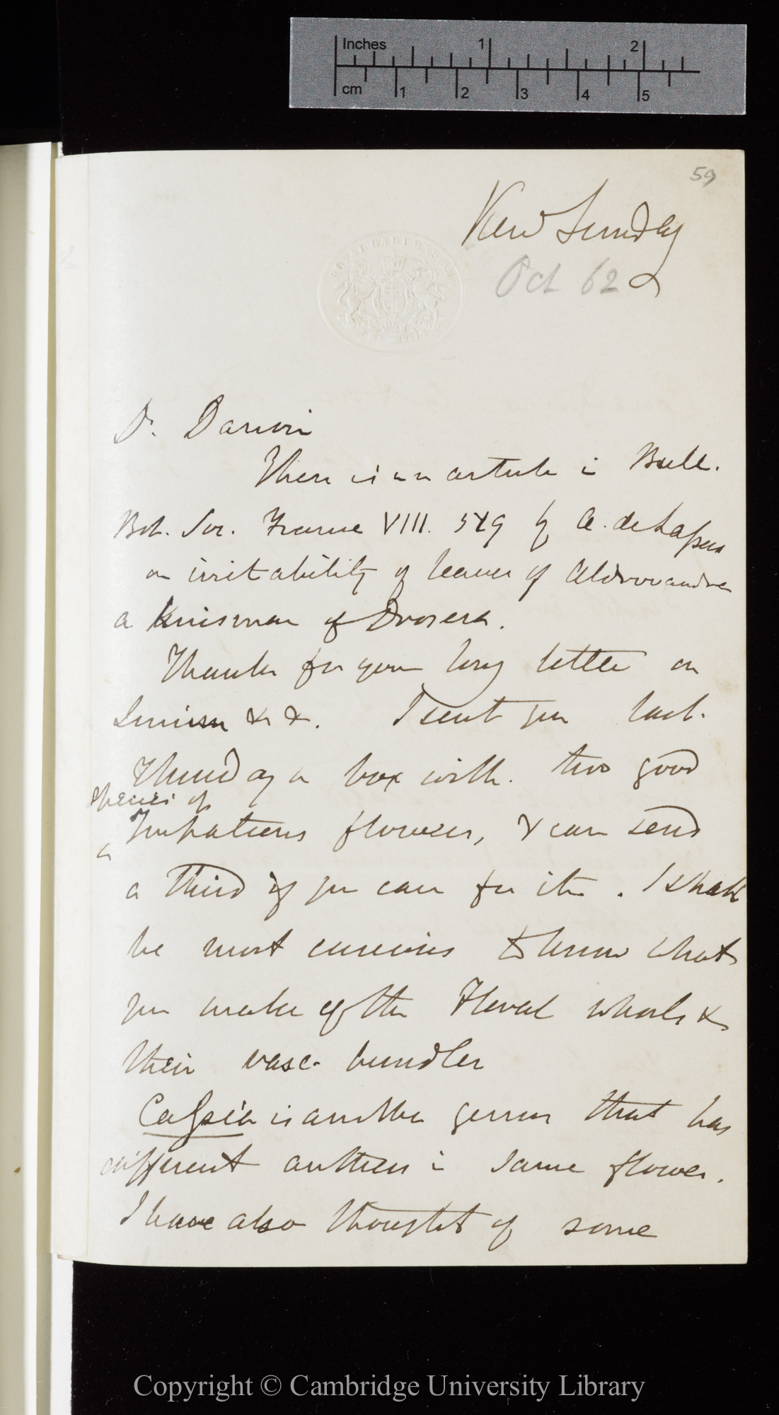 Letter from J. D. Hooker to C. R. Darwin   [12 October 1862]