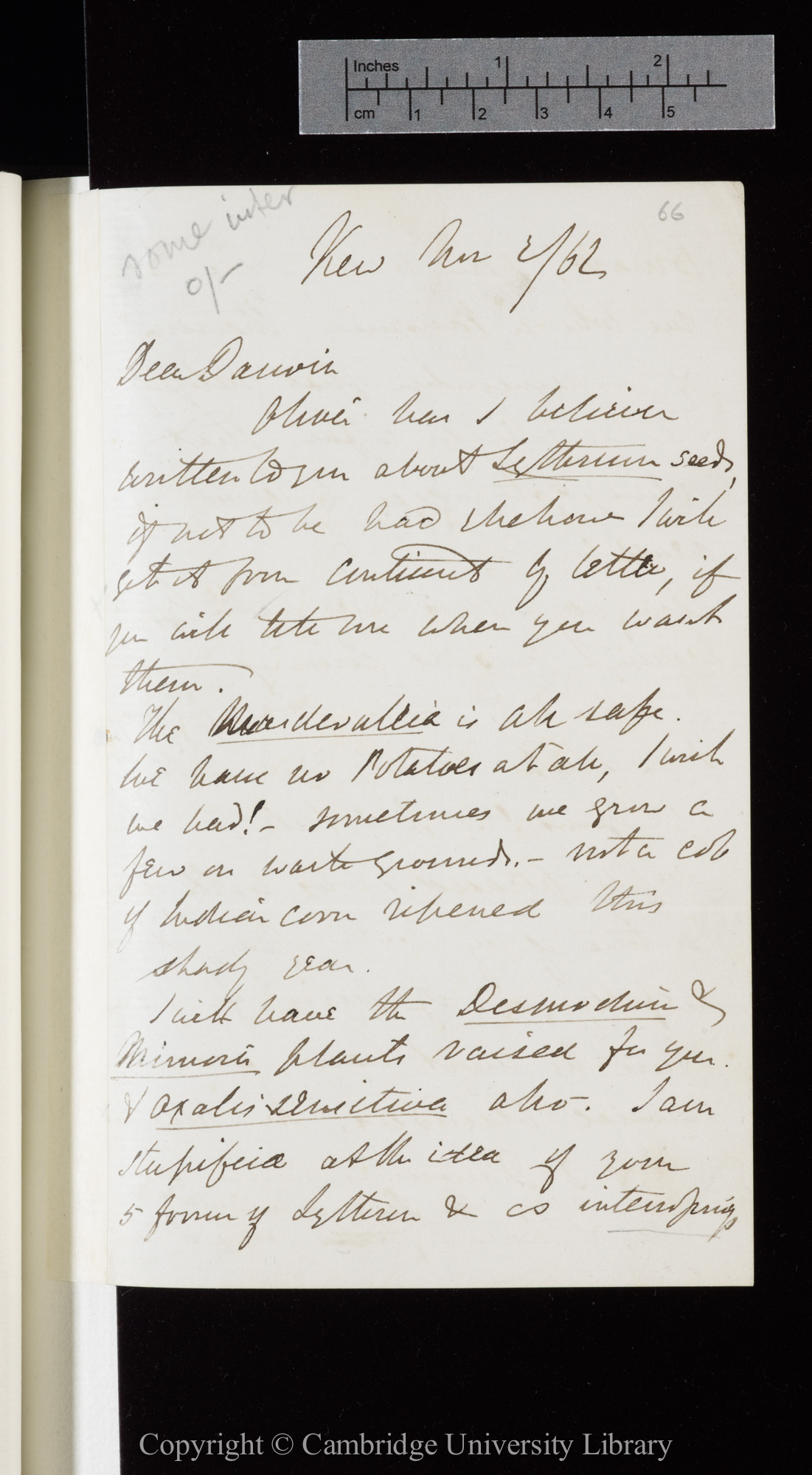 Letter from J. D. Hooker to C. R. Darwin   2 November 1862