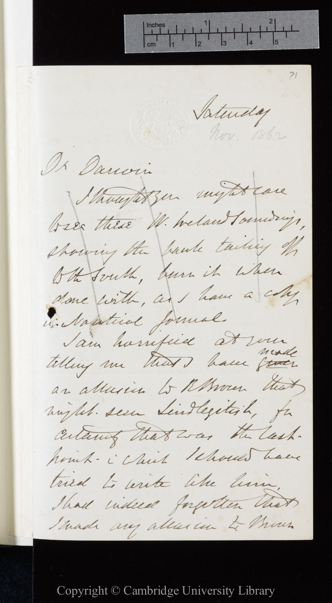 Letter from J. D. Hooker to C. R. Darwin   [15 and] 20 November [1862]
