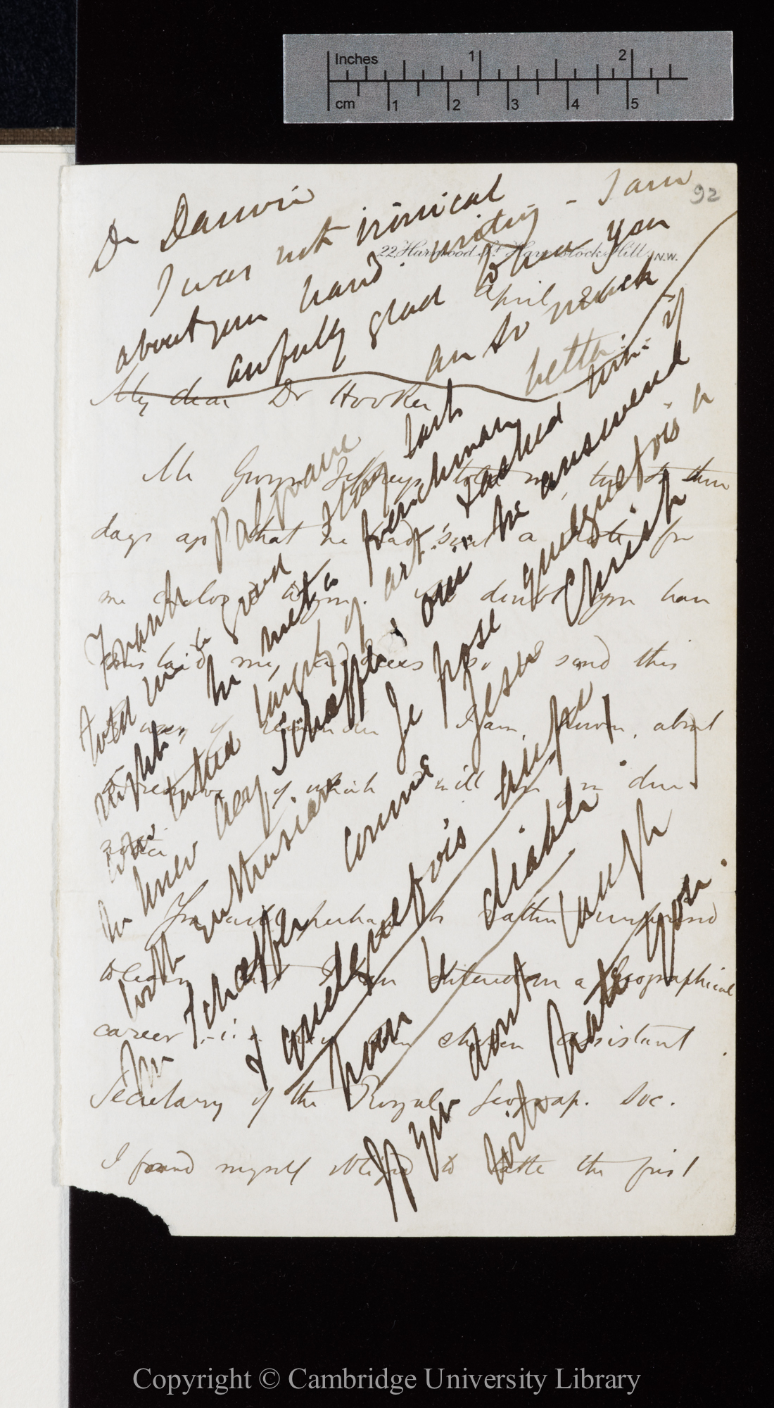 Letter from J. D. Hooker to C. R. Darwin   [after 28 April 1864]