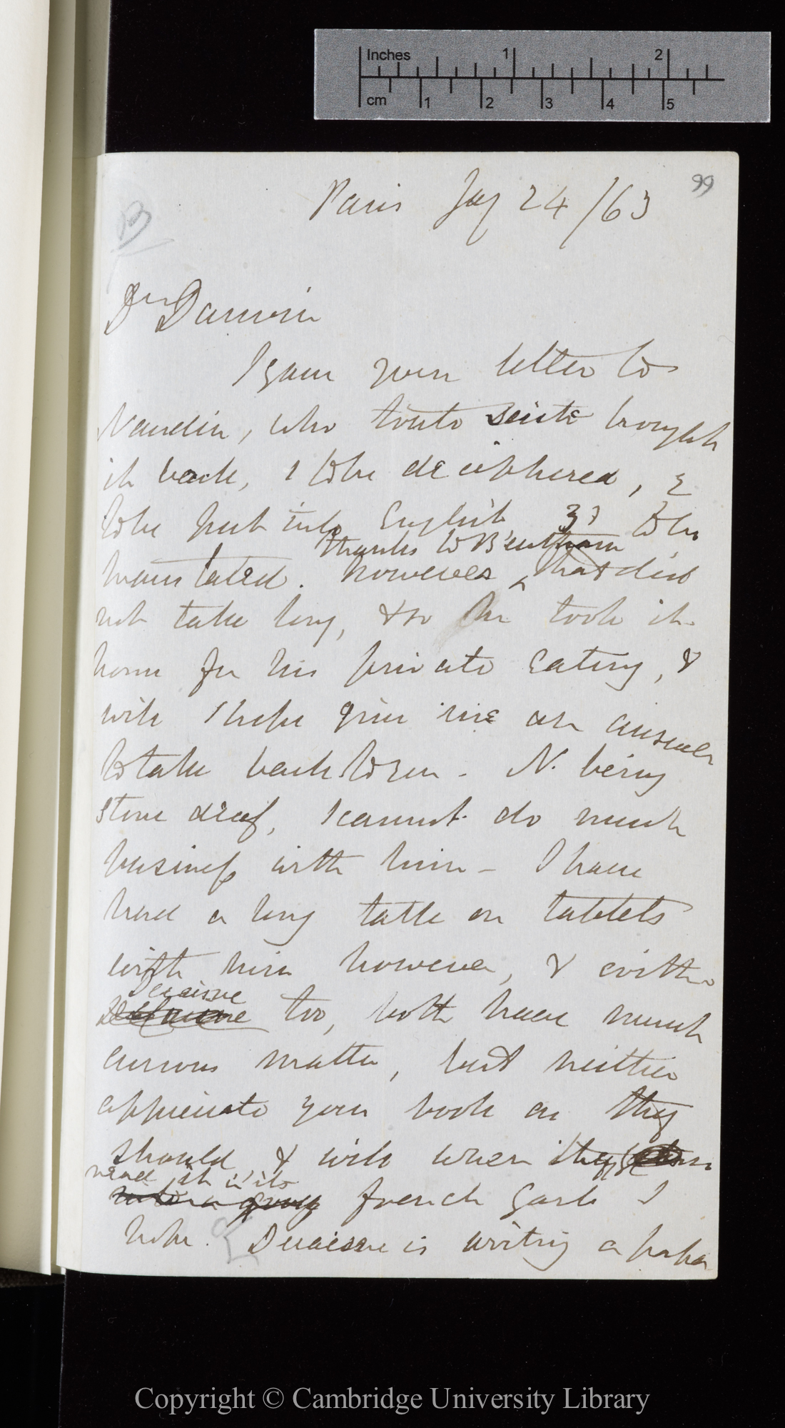 Letter from J. D. Hooker to C. R. Darwin   24 January 1863