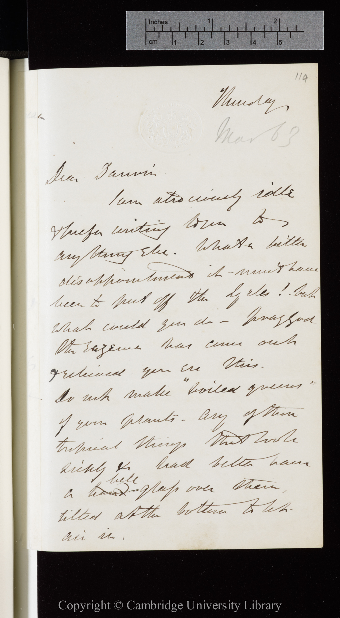 Letter from J. D. Hooker to C. R. Darwin   [6 March 1863]