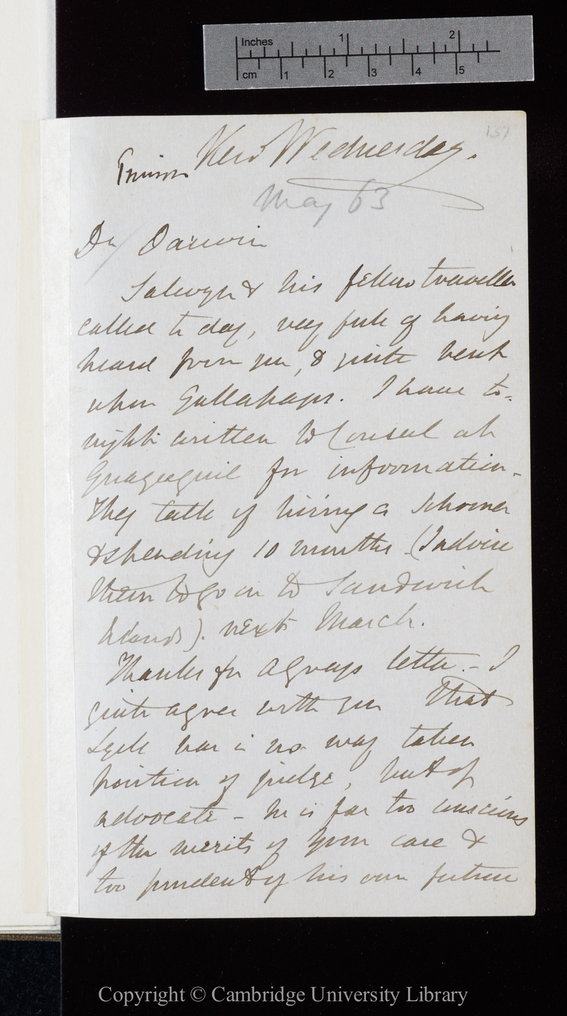 Letter from J. D. Hooker to C. R. Darwin   [13 May 1863]