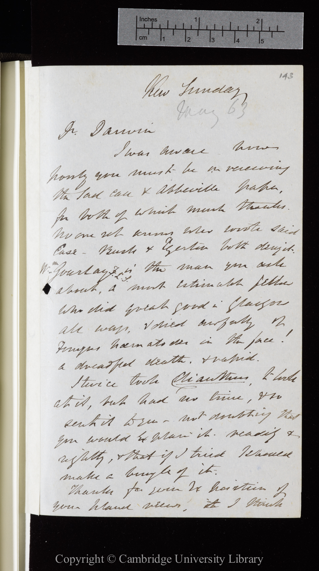 Letter from J. D. Hooker to C. R. Darwin   [24 May 1863]