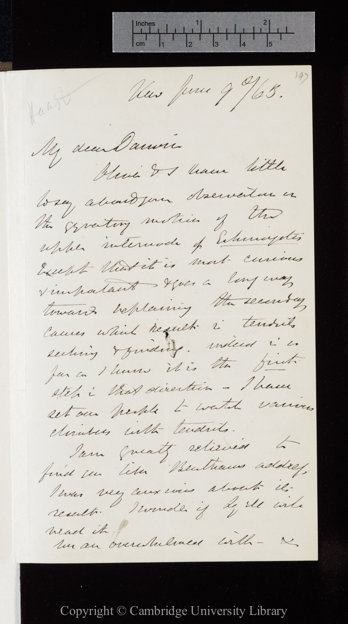 Letter from J. D. Hooker to C. R. Darwin   [2]9 June 1863