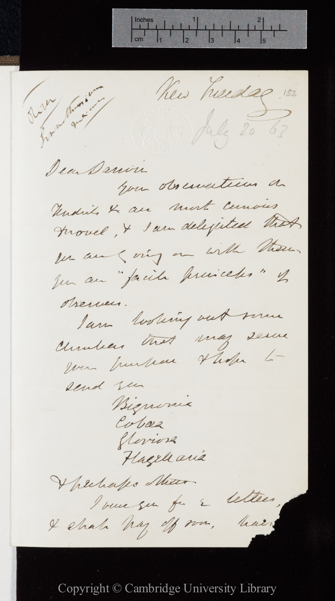 Letter from J. D. Hooker to C. R. Darwin   [21 July 1863]