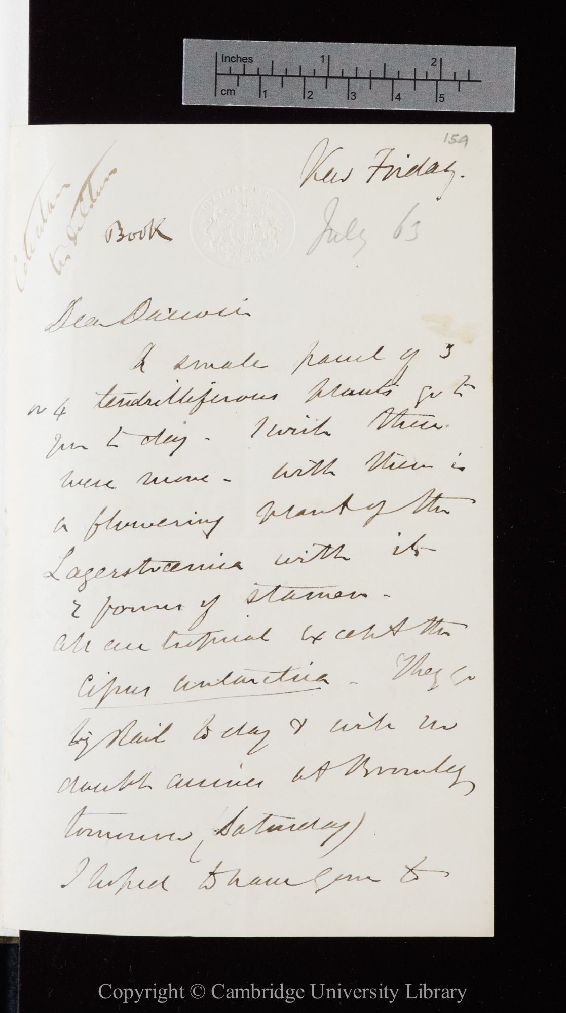 Letter from J. D. Hooker to C. R. Darwin   [31 July 1863]
