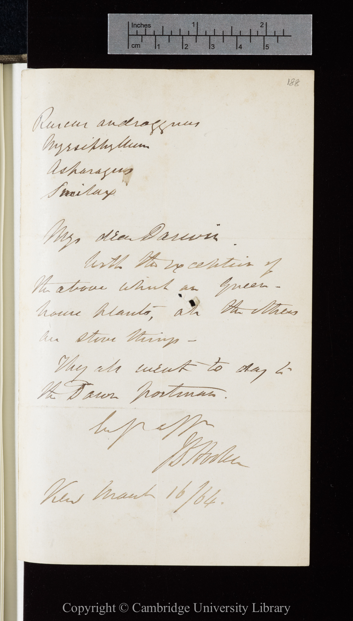 Letter from J. D. Hooker to C. R. Darwin   16 March 1864