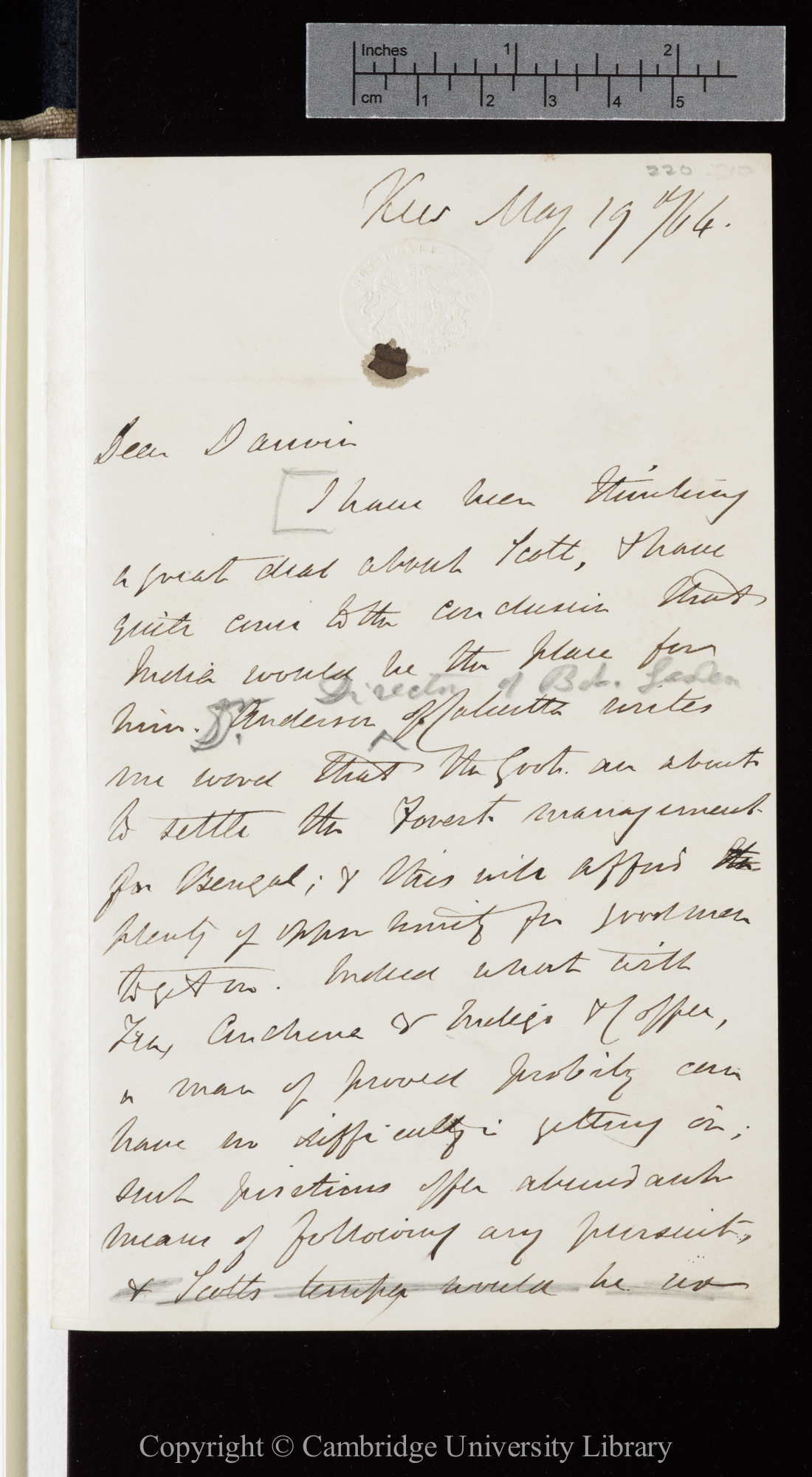 Letter from J. D. Hooker to C. R. Darwin   19 May 1864