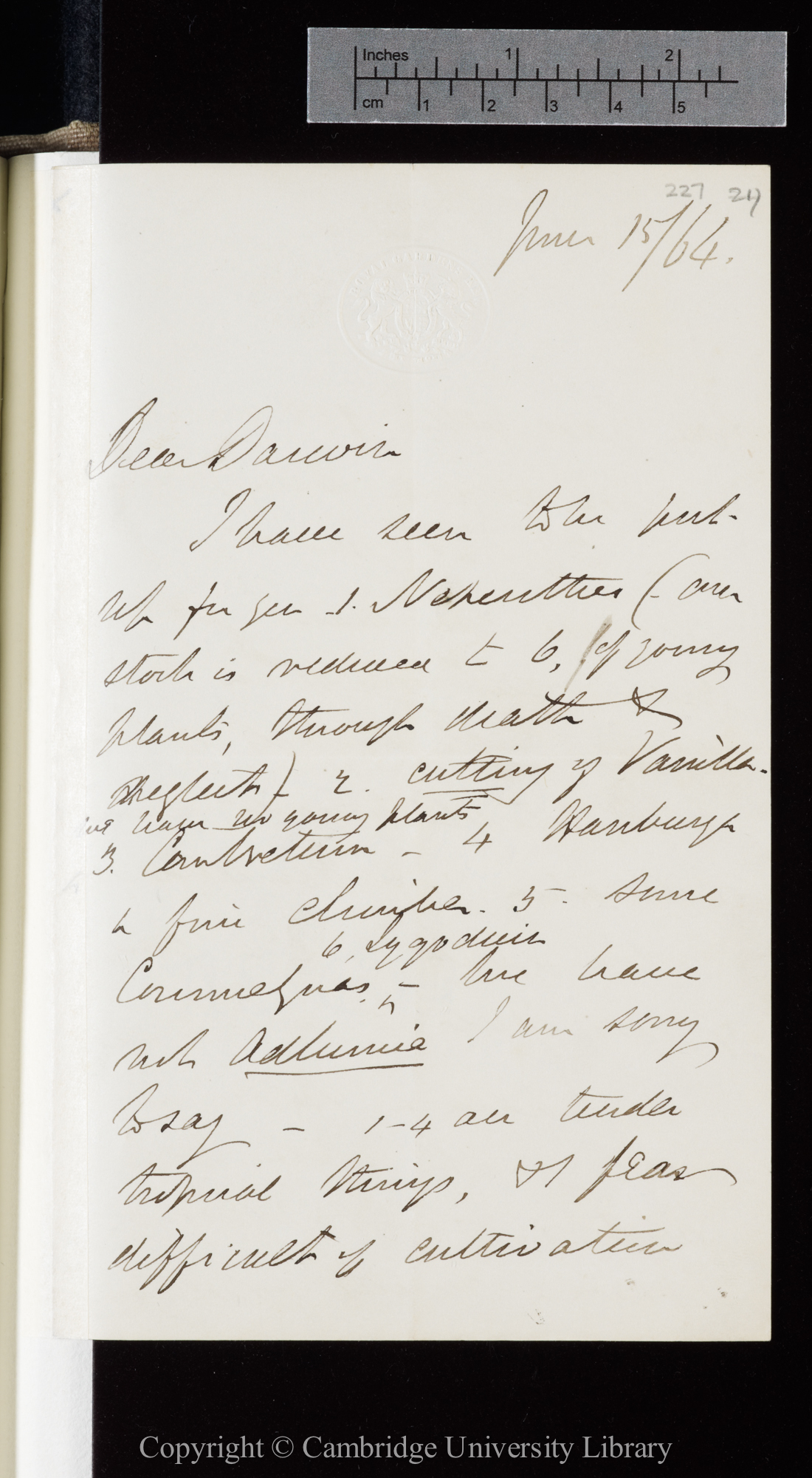 Letter from J. D. Hooker to C. R. Darwin   15 June 1864