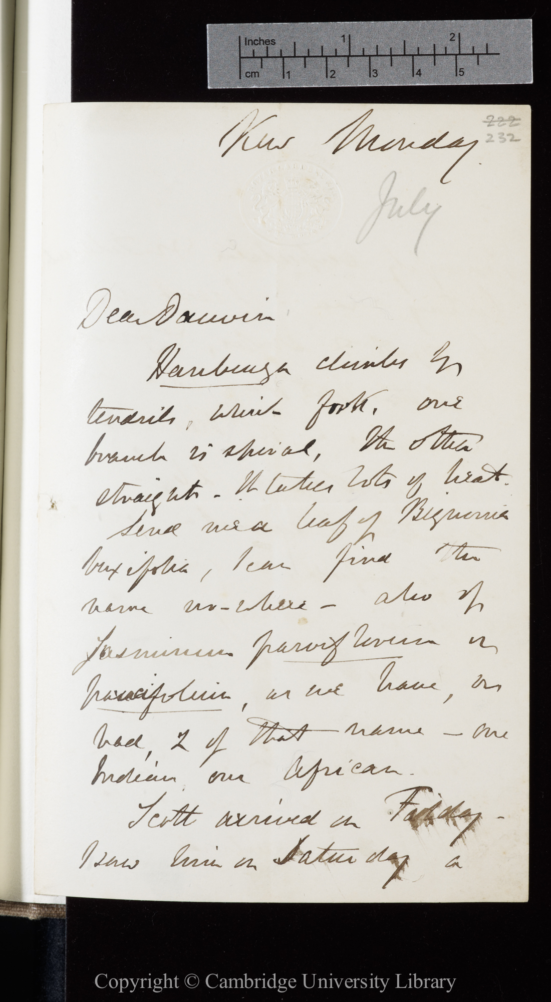 Letter from J. D. Hooker to C. R. Darwin   [15 August 1864]