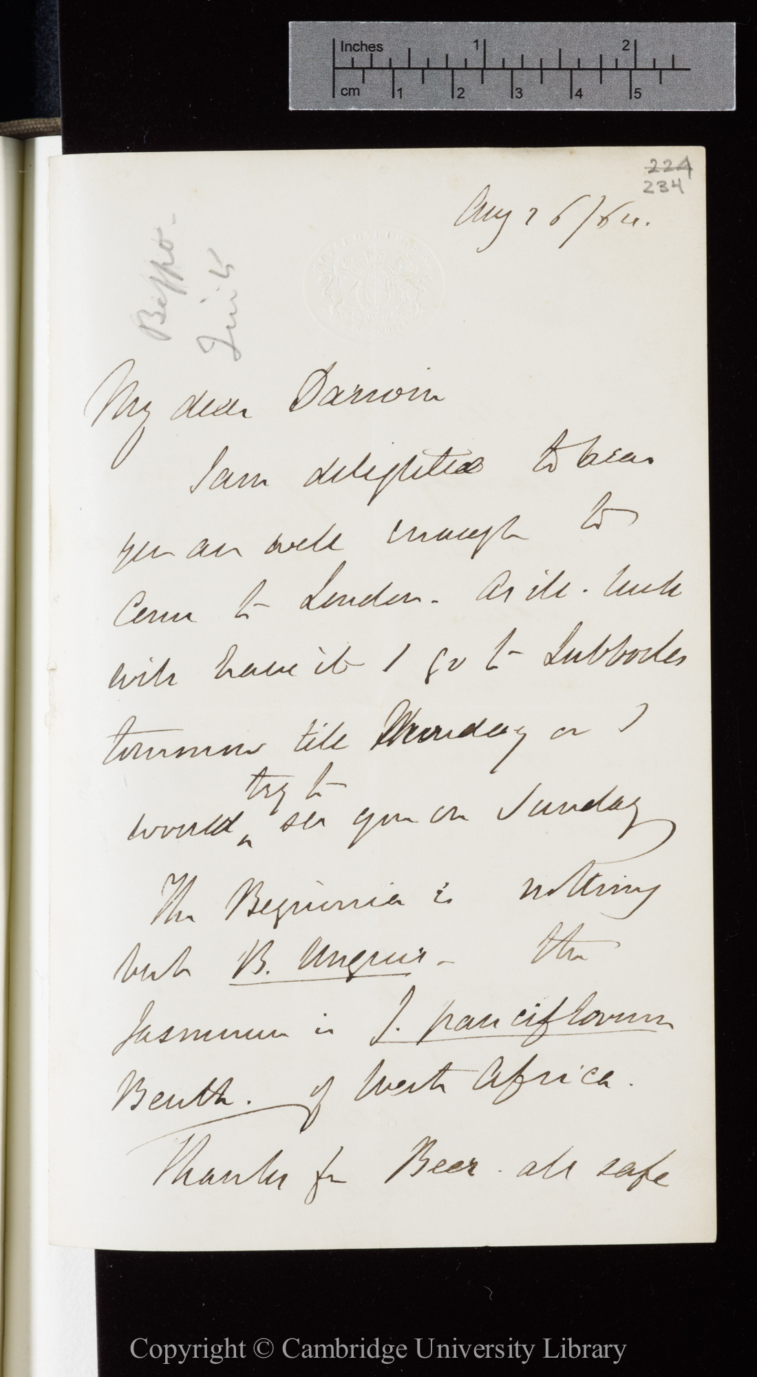 Letter from J. D. Hooker to C. R. Darwin   26 August 1864