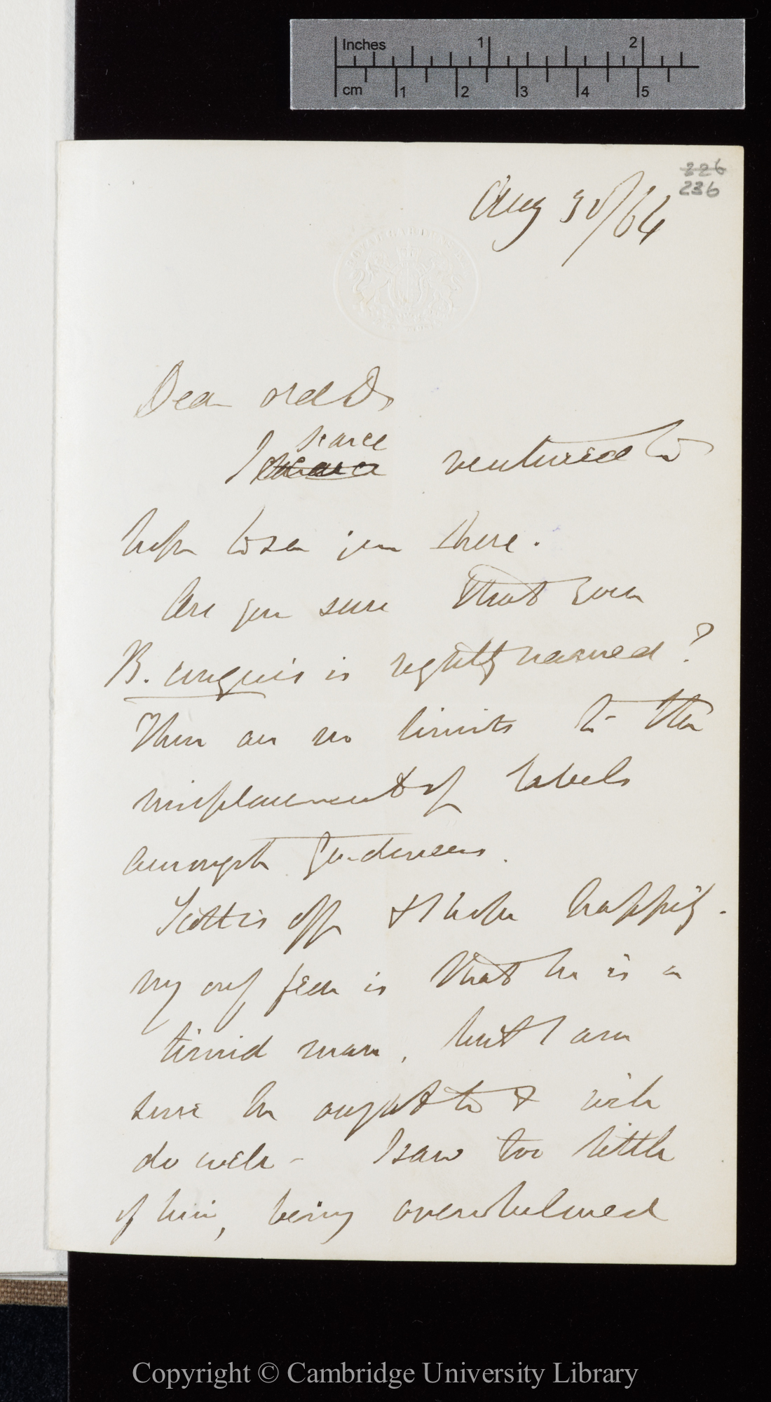 Letter from J. D. Hooker to C. R. Darwin   30 August 1864