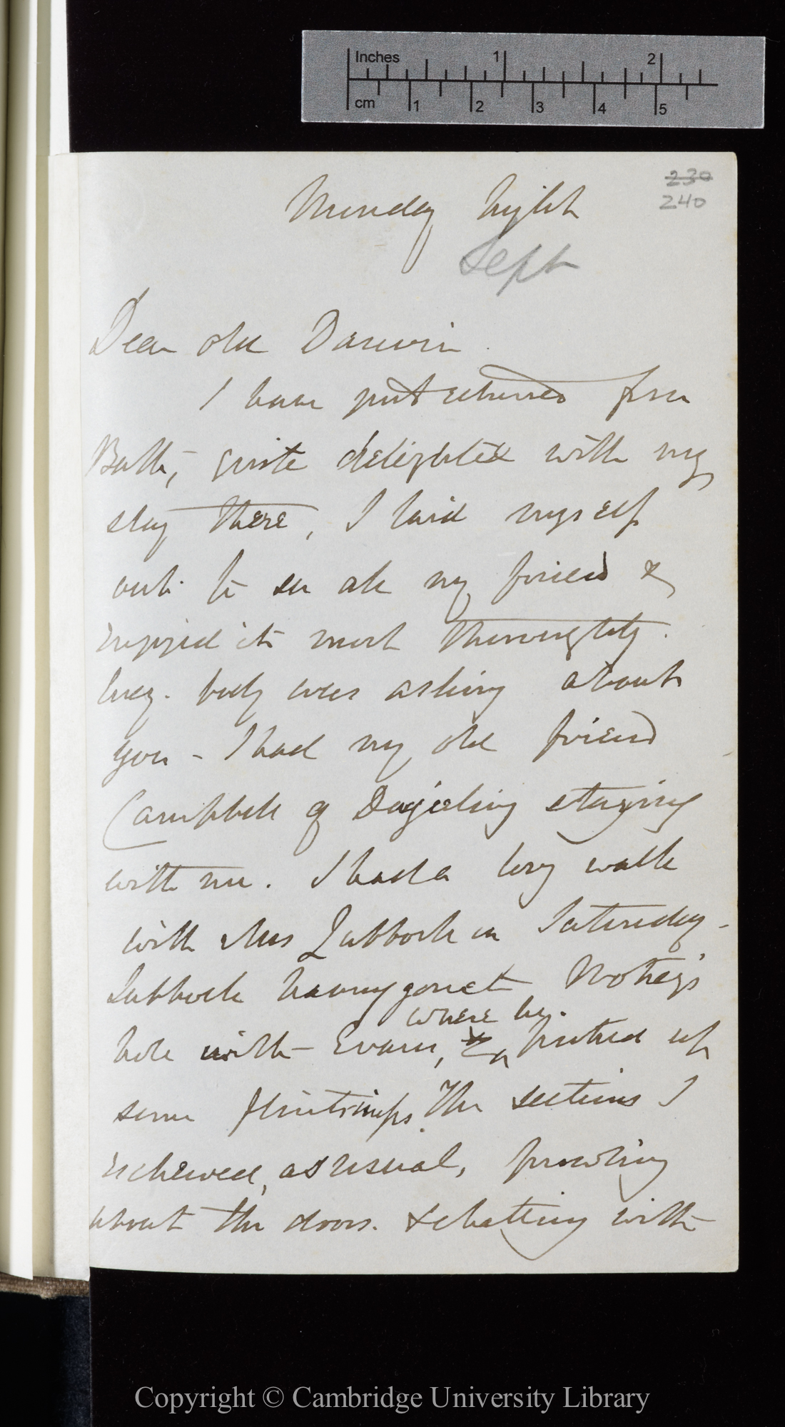 Letter from J. D. Hooker to C. R. Darwin   [19 September 1864]