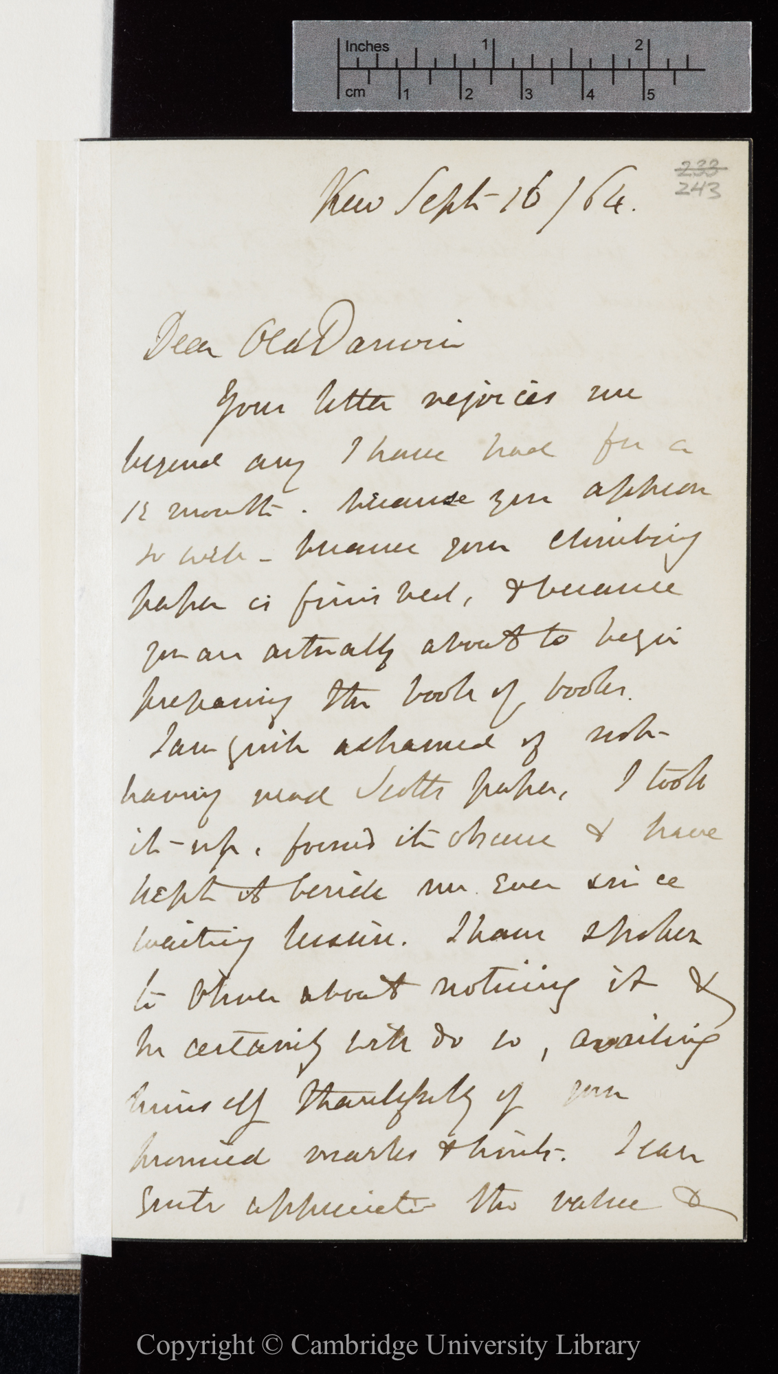 Letter from J. D. Hooker to C. R. Darwin   16 September 1864
