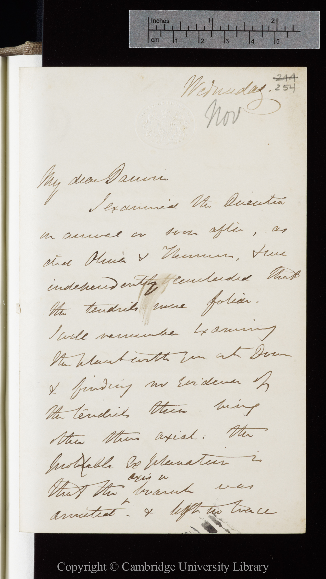 Letter from J. D. Hooker to C. R. Darwin   [23 November 1864]