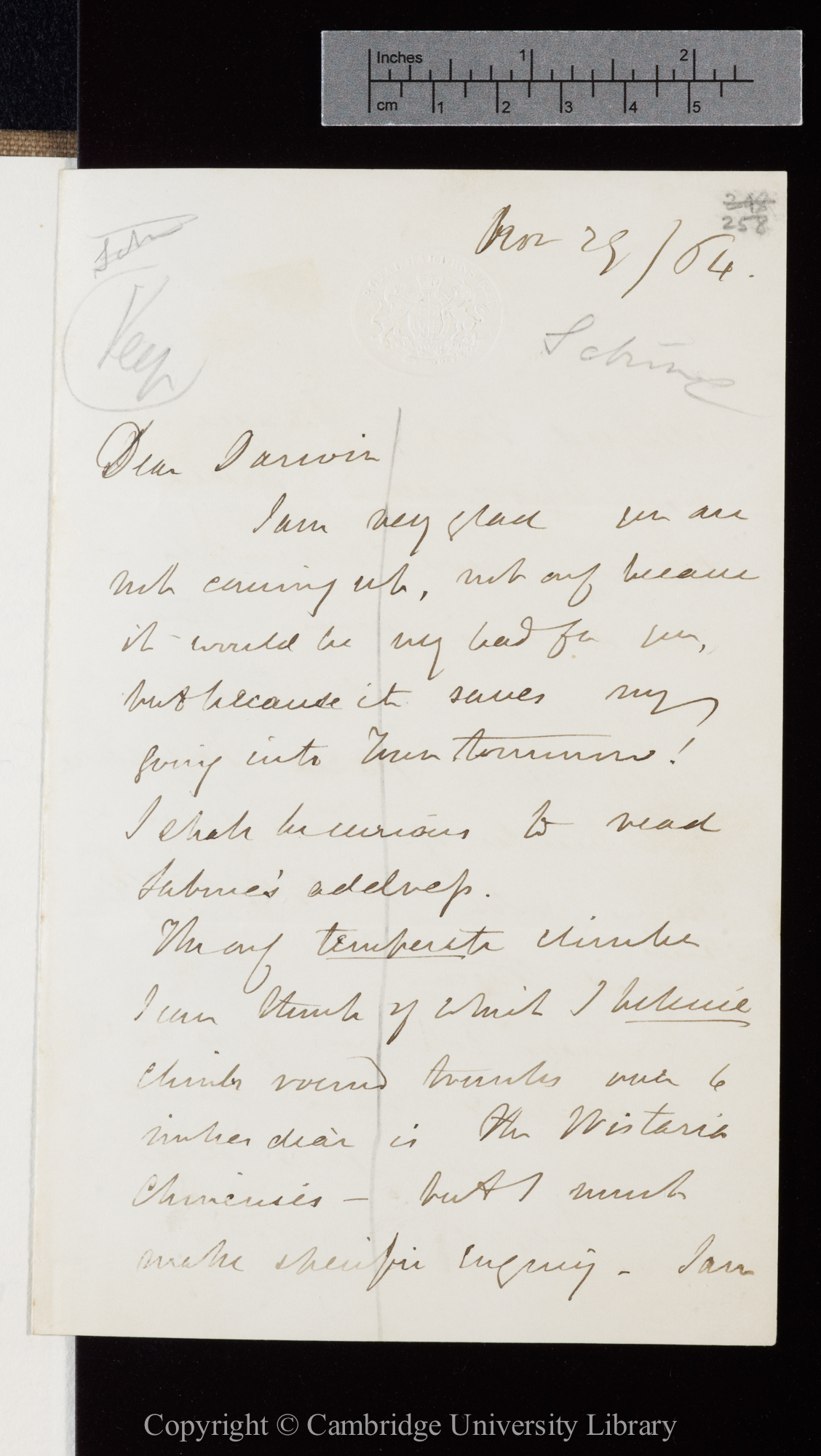 Letter from J. D. Hooker to C. R. Darwin   29 November 1864