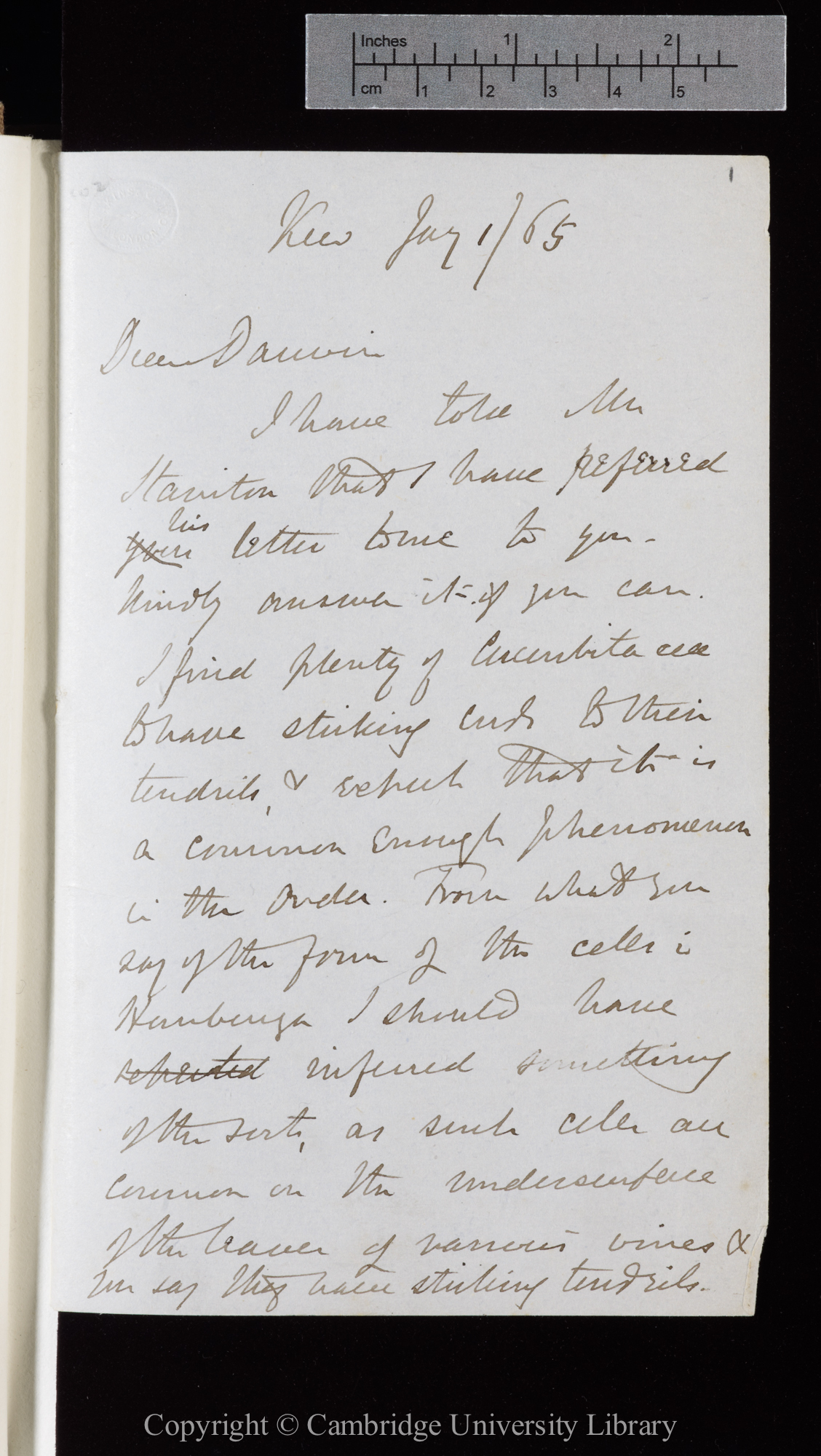 Letter from J. D. Hooker to C. R. Darwin   1 January 1865