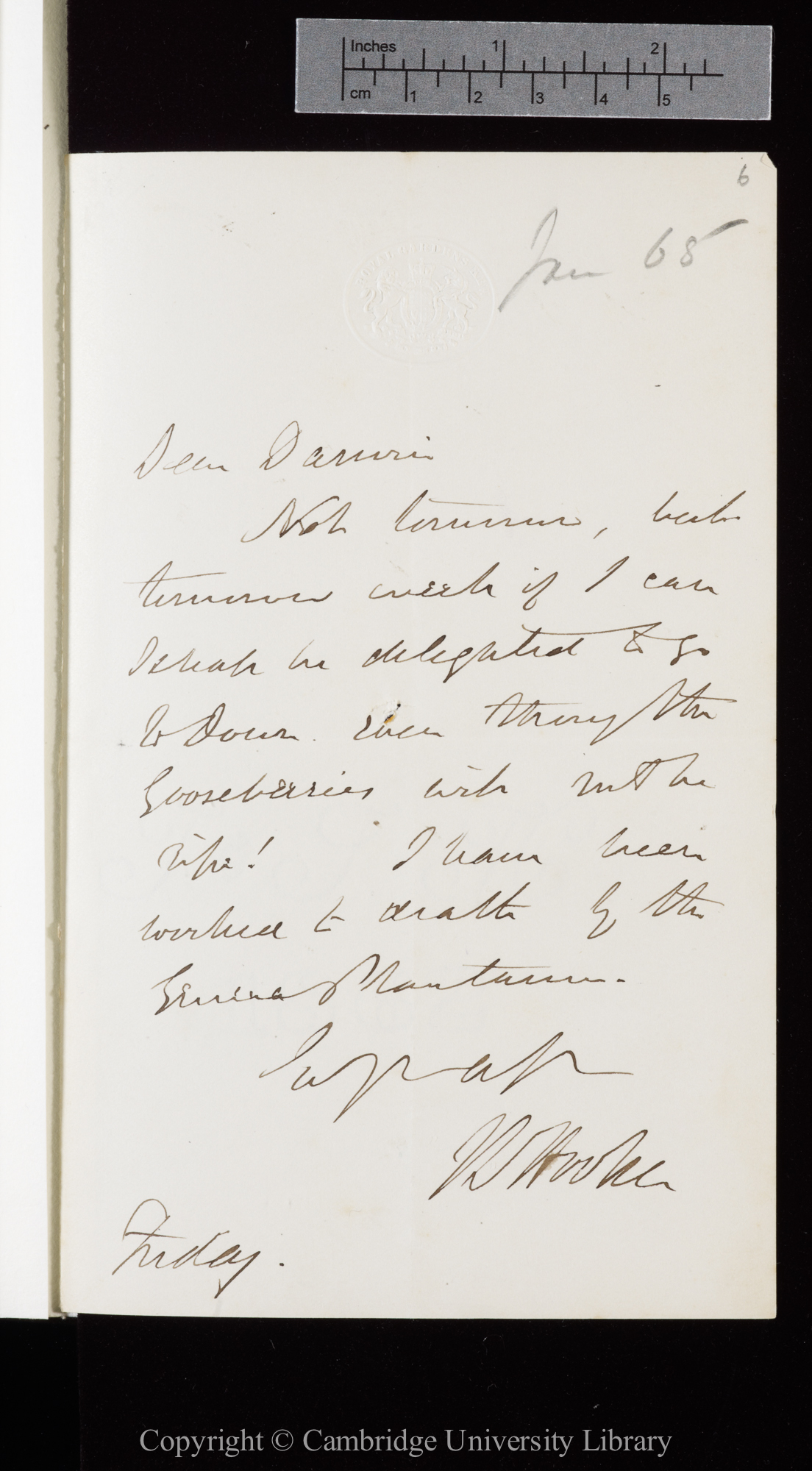 Letter from J. D. Hooker to C. R. Darwin   [20 January 1865]