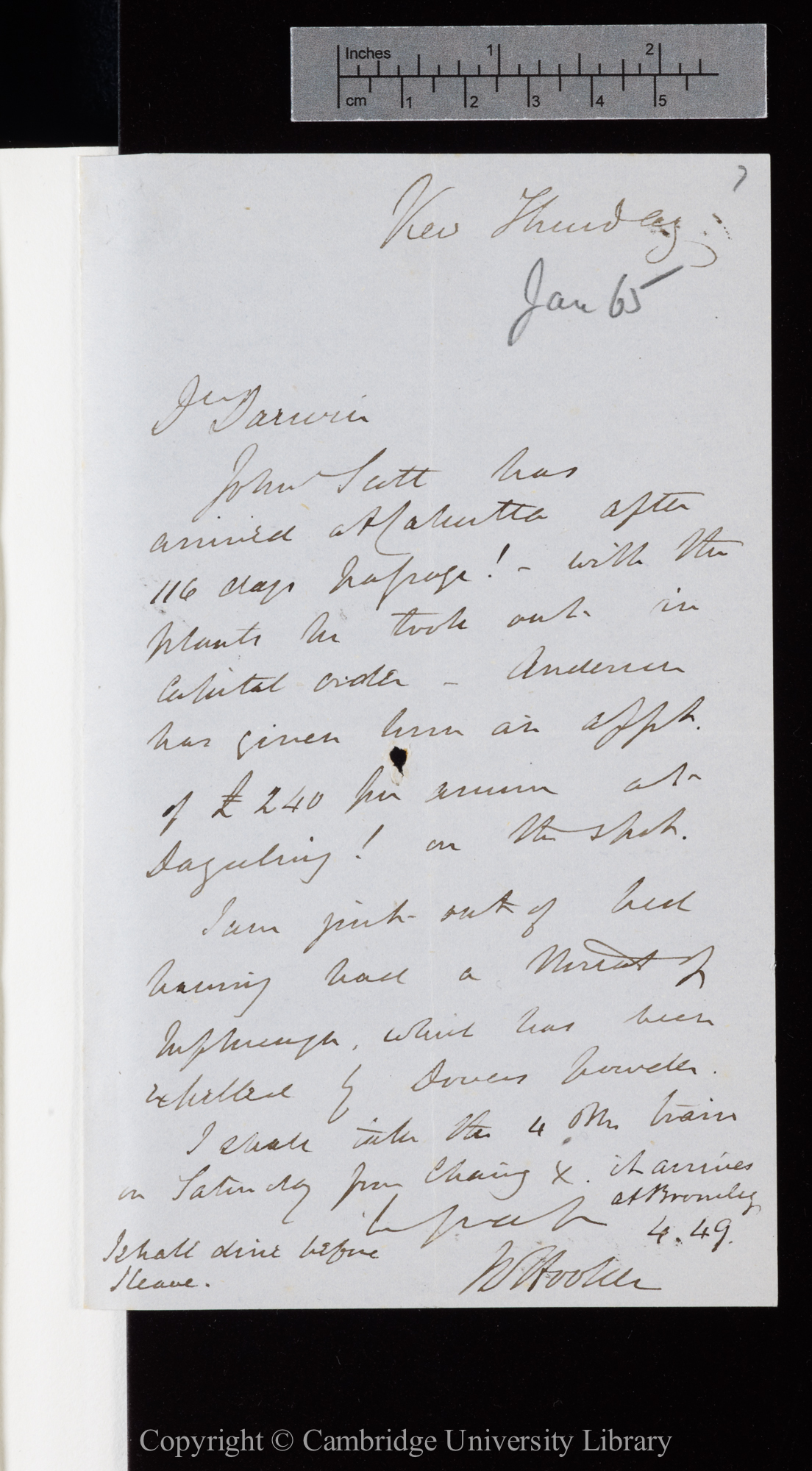 Letter from J. D. Hooker to C. R. Darwin   [26 January 1865]