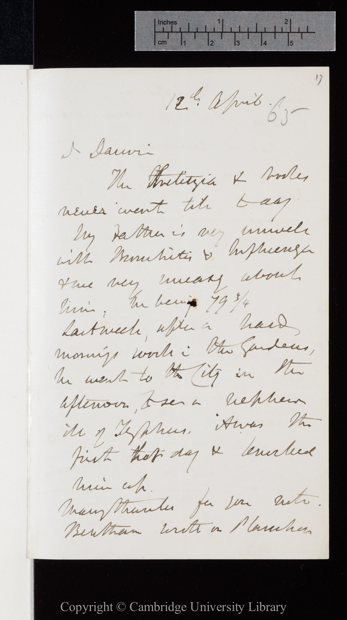 Letter from J. D. Hooker to C. R. Darwin   12 April [1865]