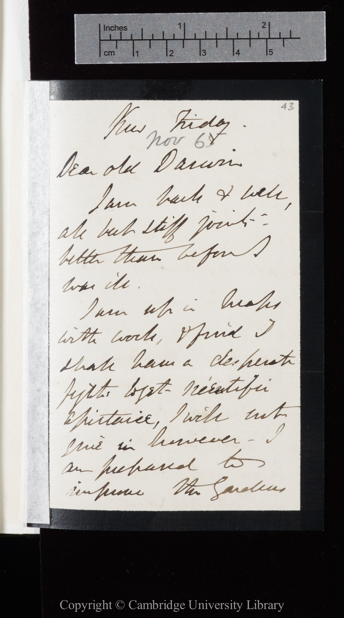 Letter from J. D. Hooker to C. R. Darwin   [3 November 1865]