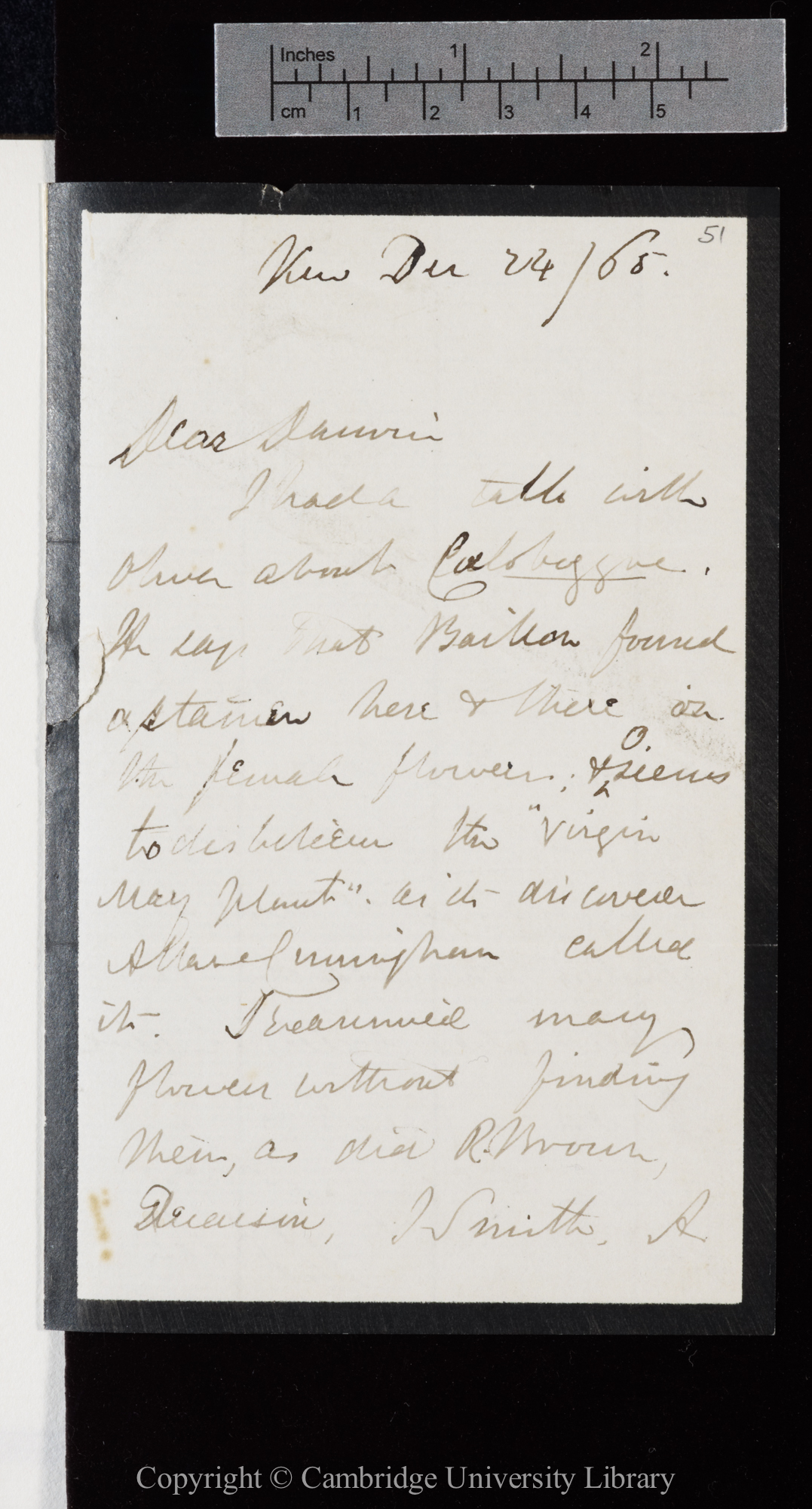Letter from J. D. Hooker to C. R. Darwin   24 December 1865