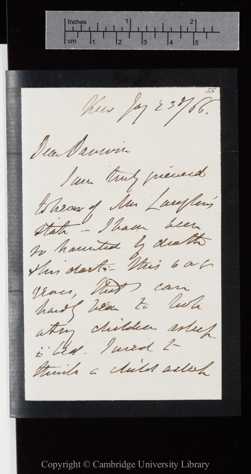 Letter from J. D. Hooker to C. R. Darwin   23 January 1866