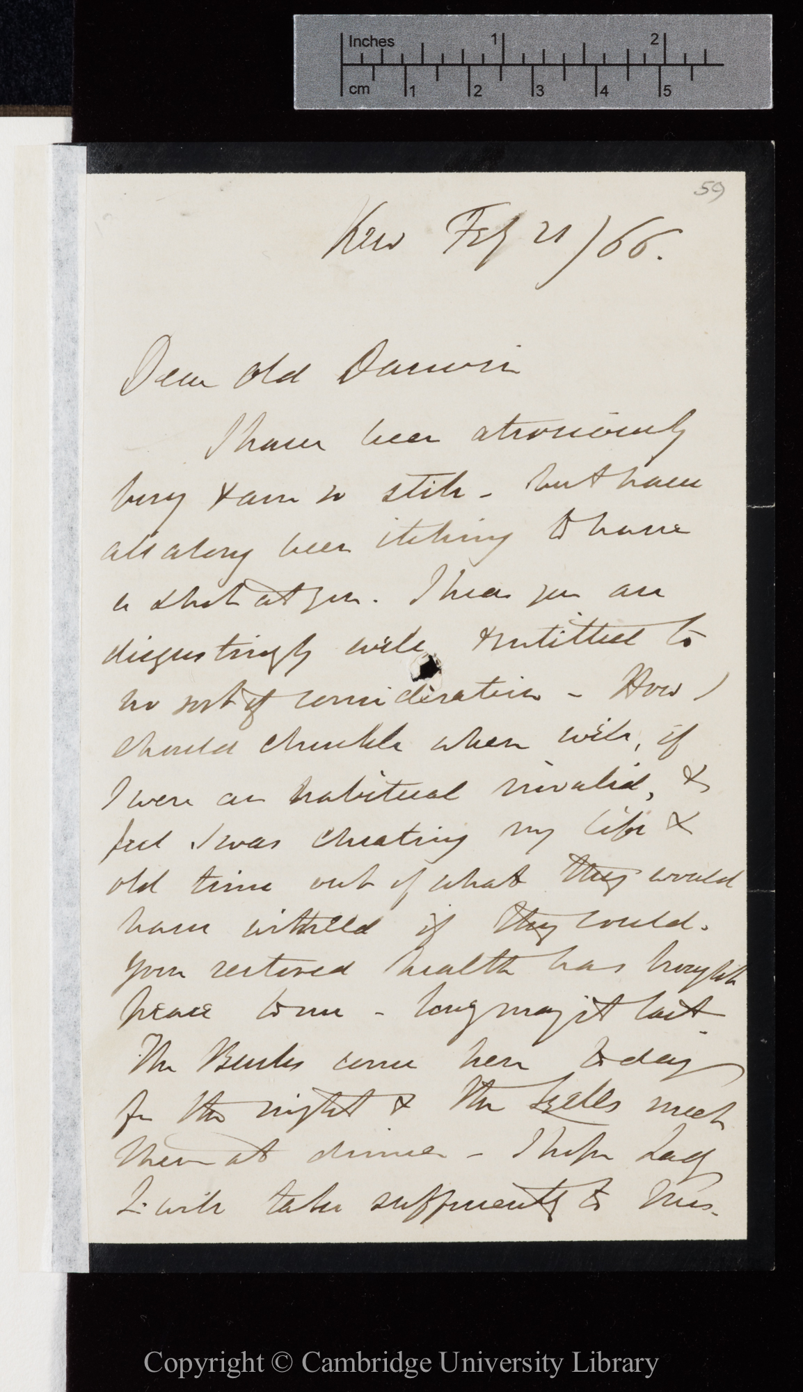 Letter from J. D. Hooker to C. R. Darwin   21 February 1866