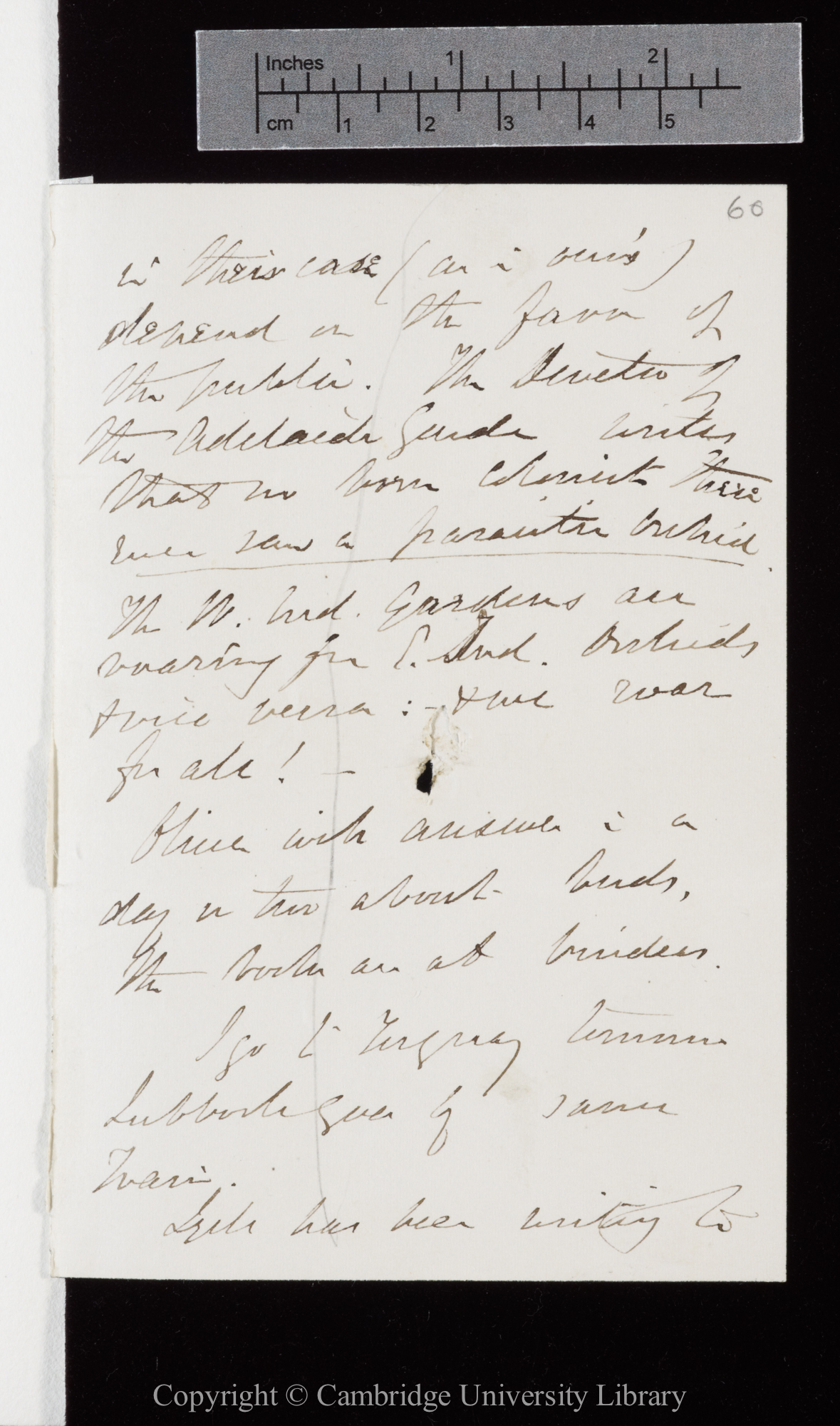 Letter from J. D. Hooker to C. R. Darwin   [after 28 April 1866]