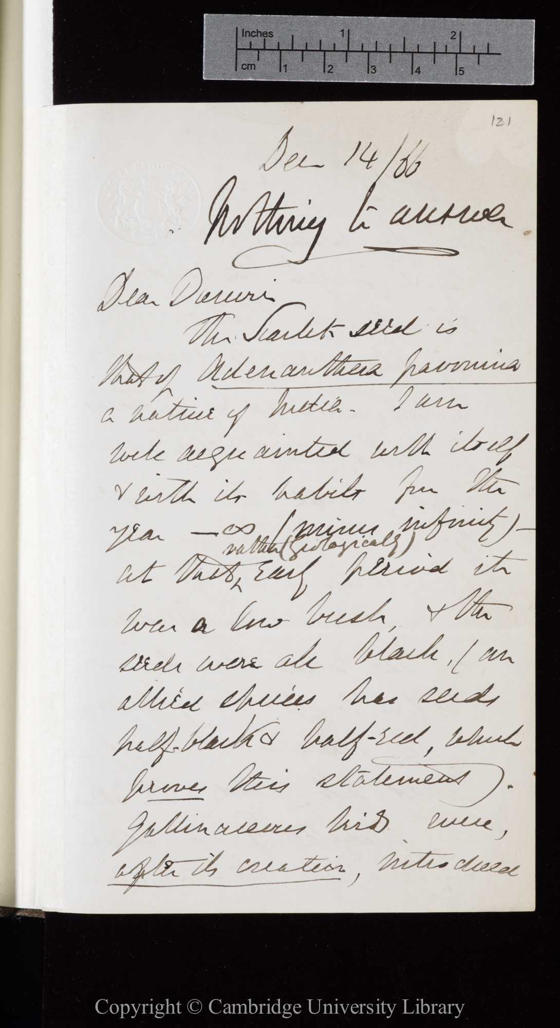 Letter from J. D. Hooker to C. R. Darwin   14 December 1866