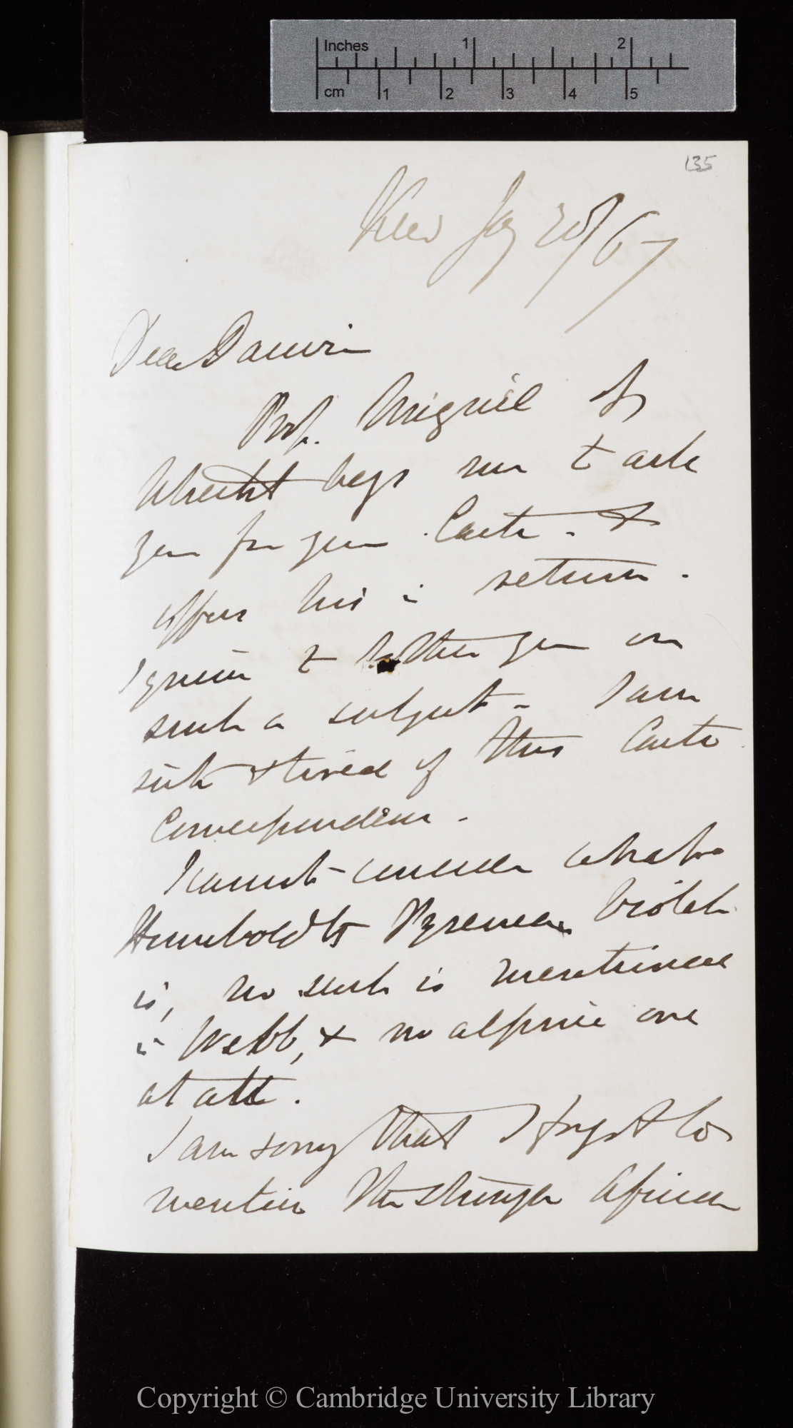 Letter from J. D. Hooker to C. R. Darwin   20 January 1867
