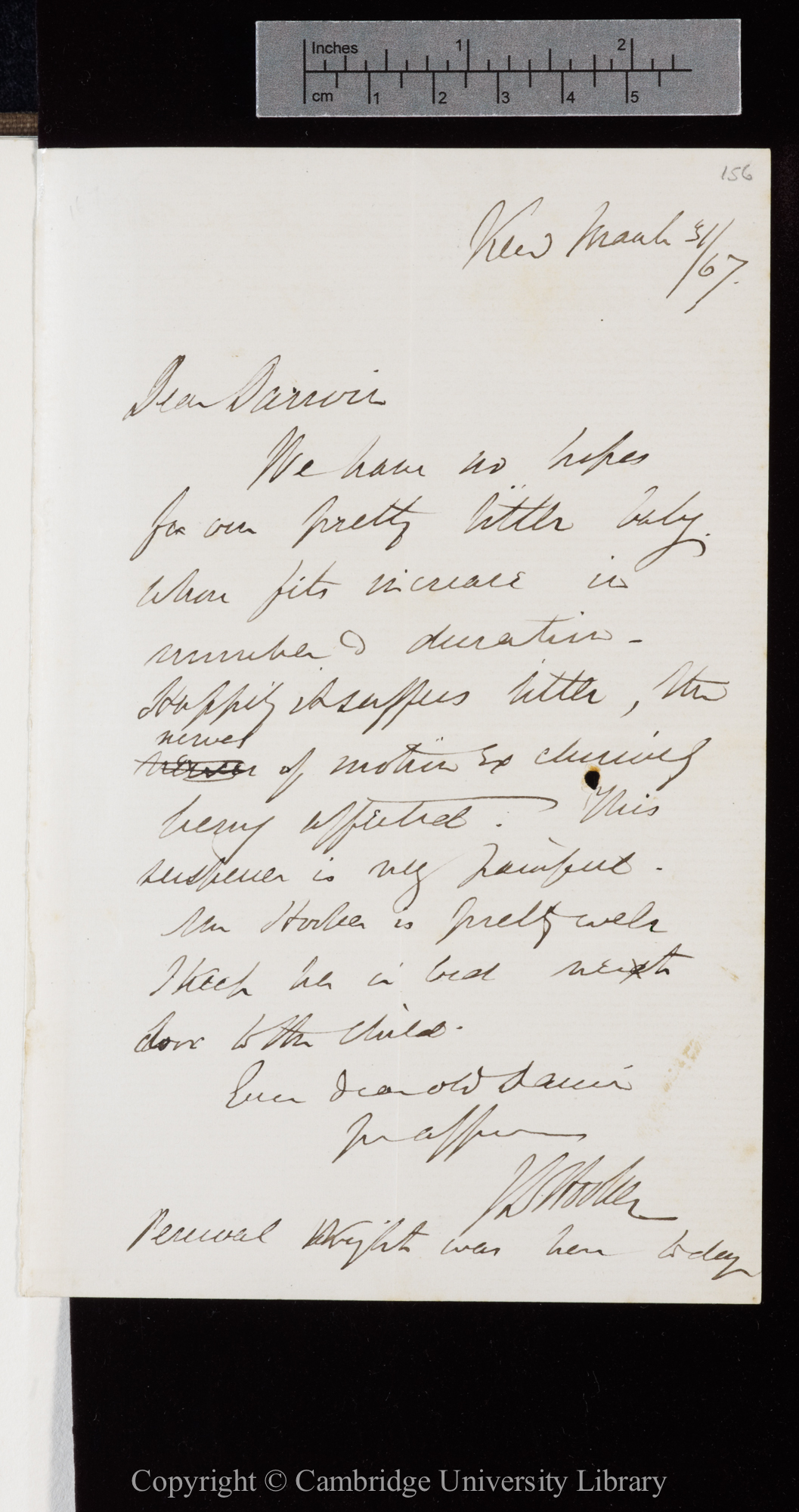 Letter from J. D. Hooker to C. R. Darwin   31 March 1867