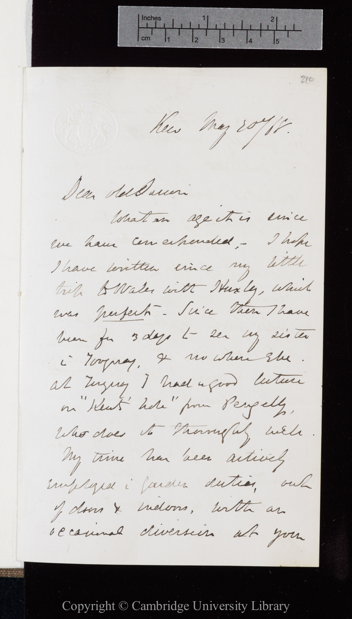 Letter from J. D. Hooker to C. R. Darwin   20 May 1868