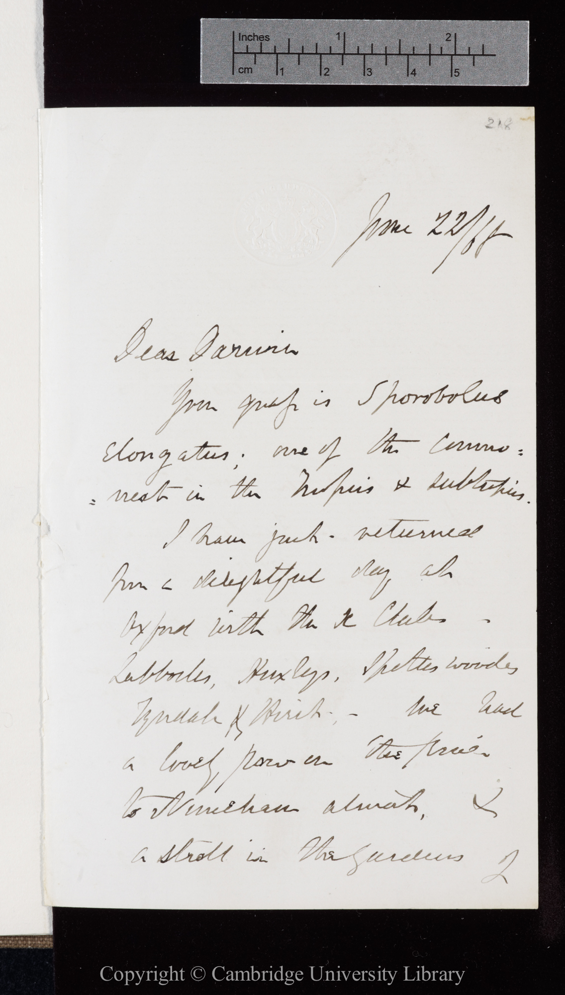 Letter from J. D. Hooker to C. R. Darwin   22 June 1868