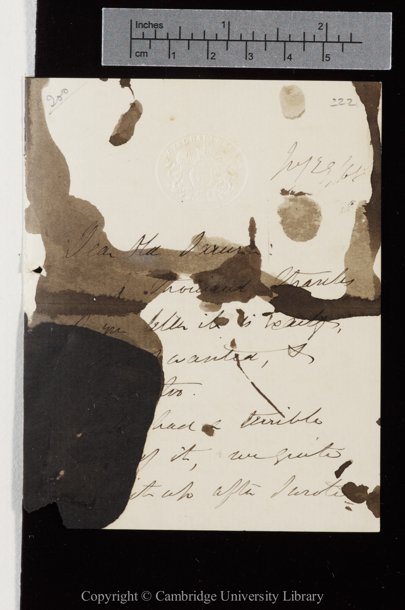 Letter from J. D. Hooker to C. R. Darwin   29 July 1868