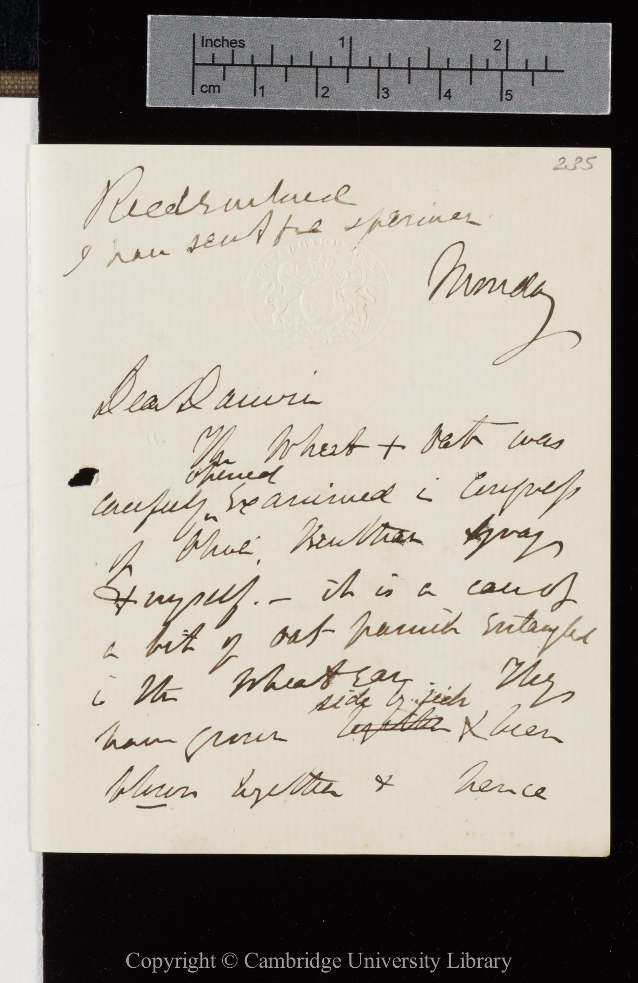 Letter from J. D. Hooker to C. R. Darwin   [28 September 1868]